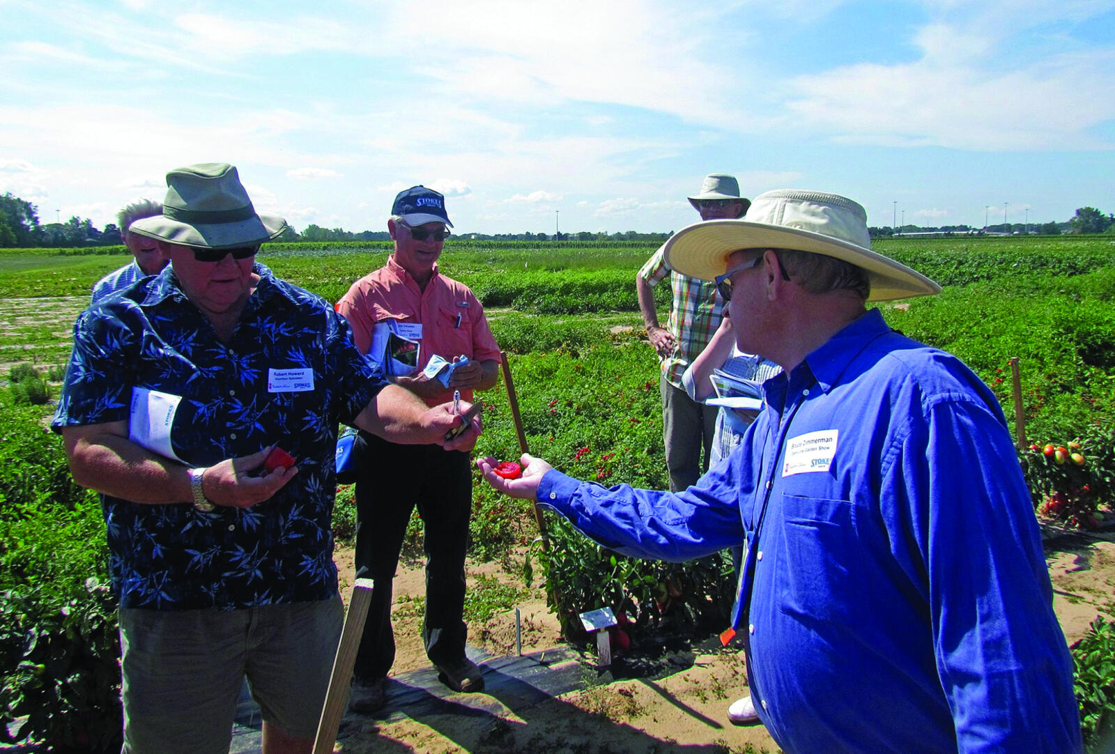 Garden media get a taste of some plum tomatoes at the Stokes Seeds trial gardens in  St. Catharines, Ont.