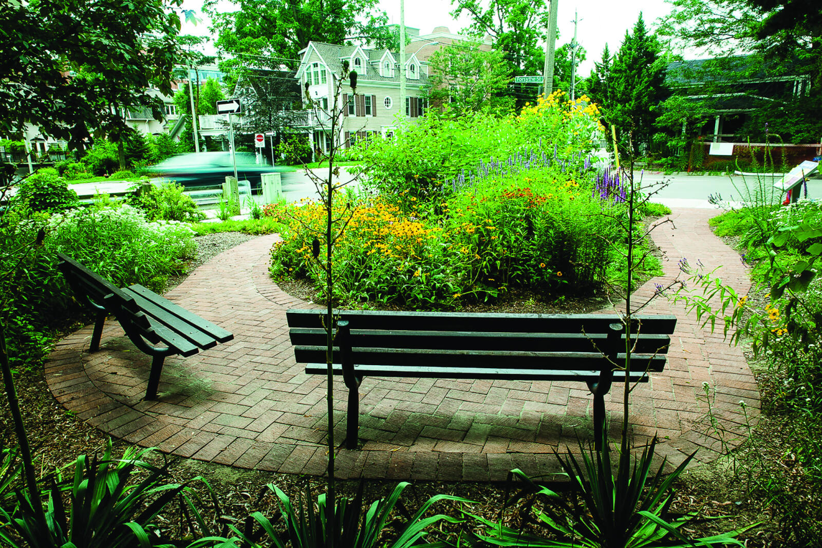 Member recognized for biodiversity garden