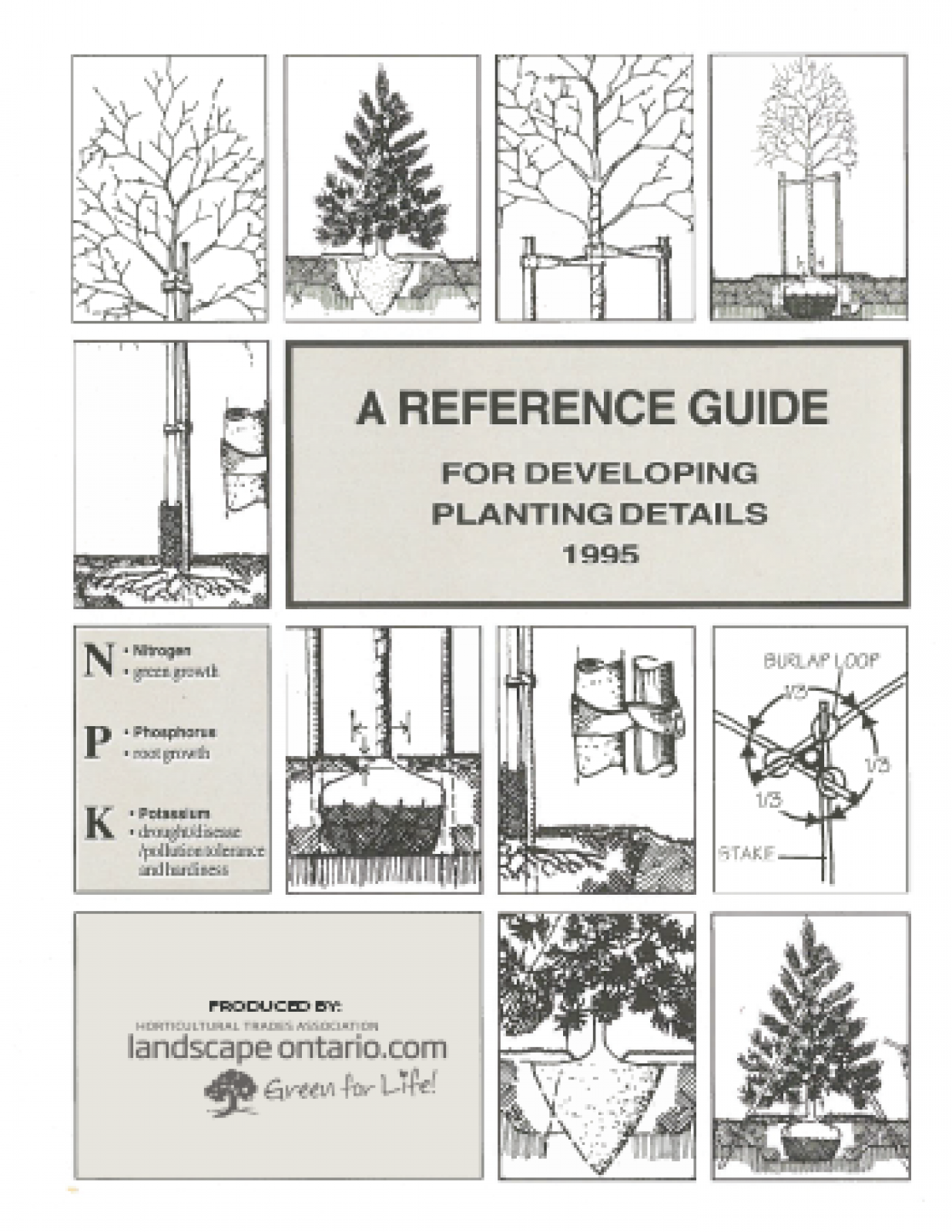 A Reference Guide for Developing Plant Ideas 1995