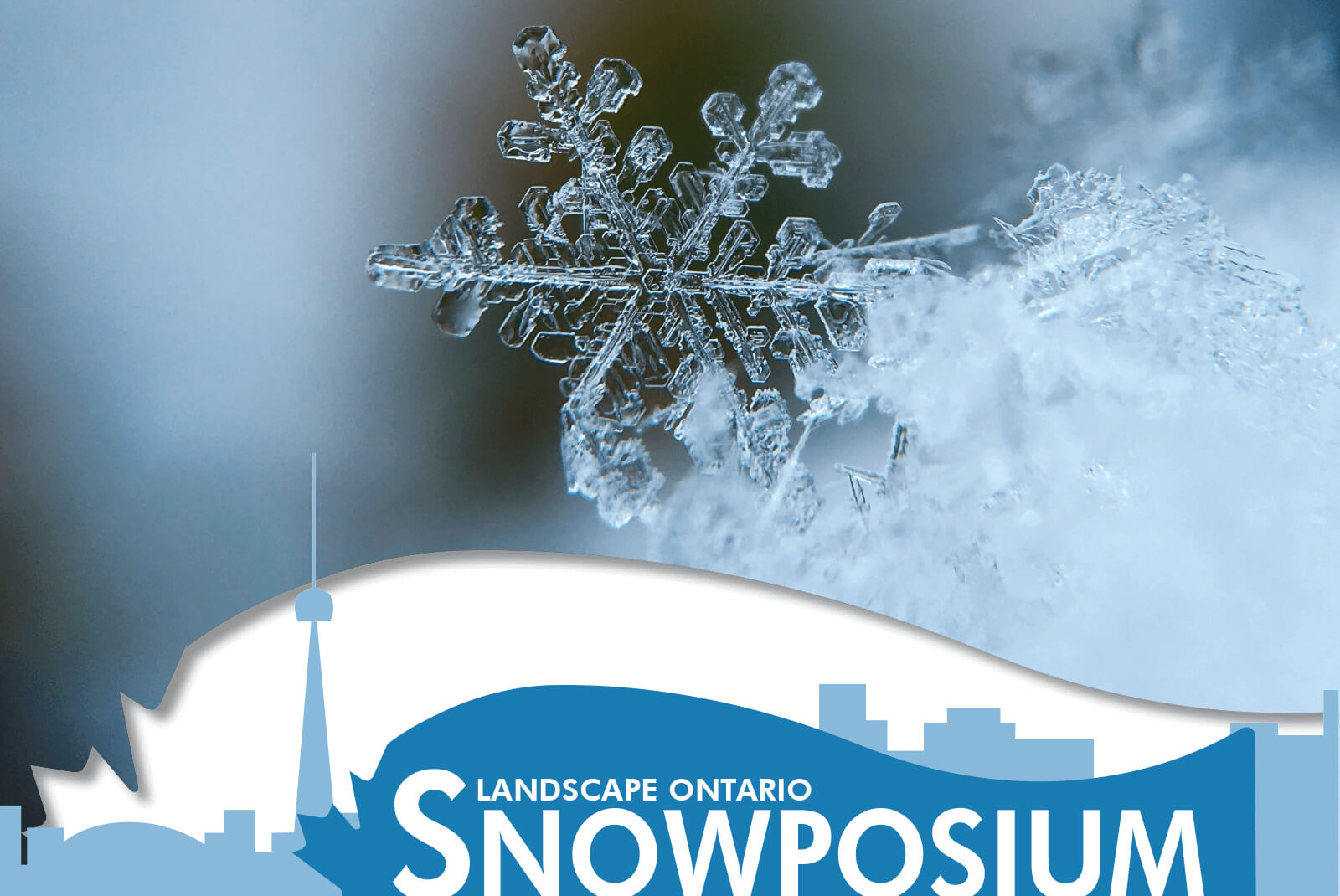 Snowposium 2017