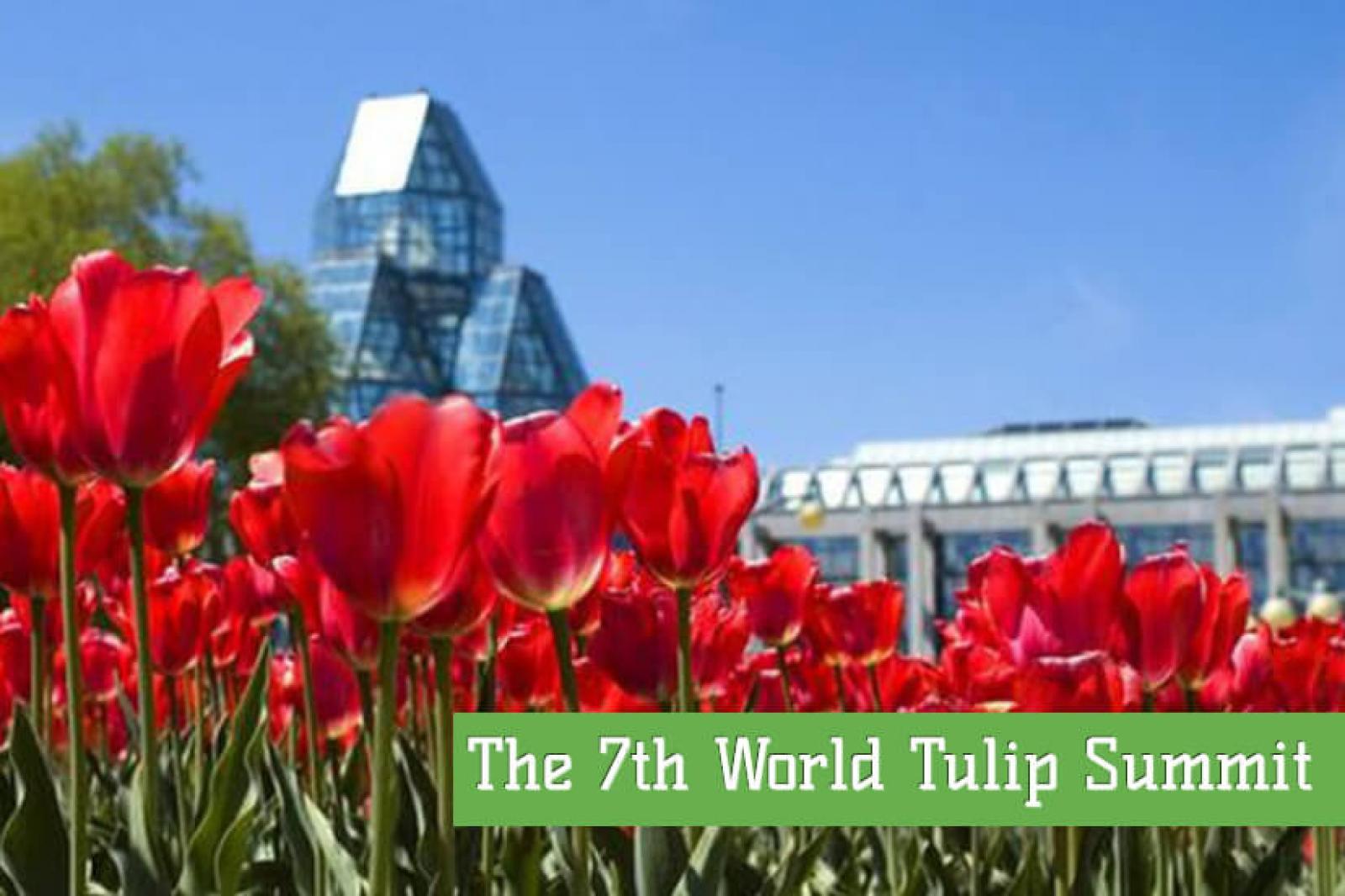 World Tulip Summit Ottawa 2017