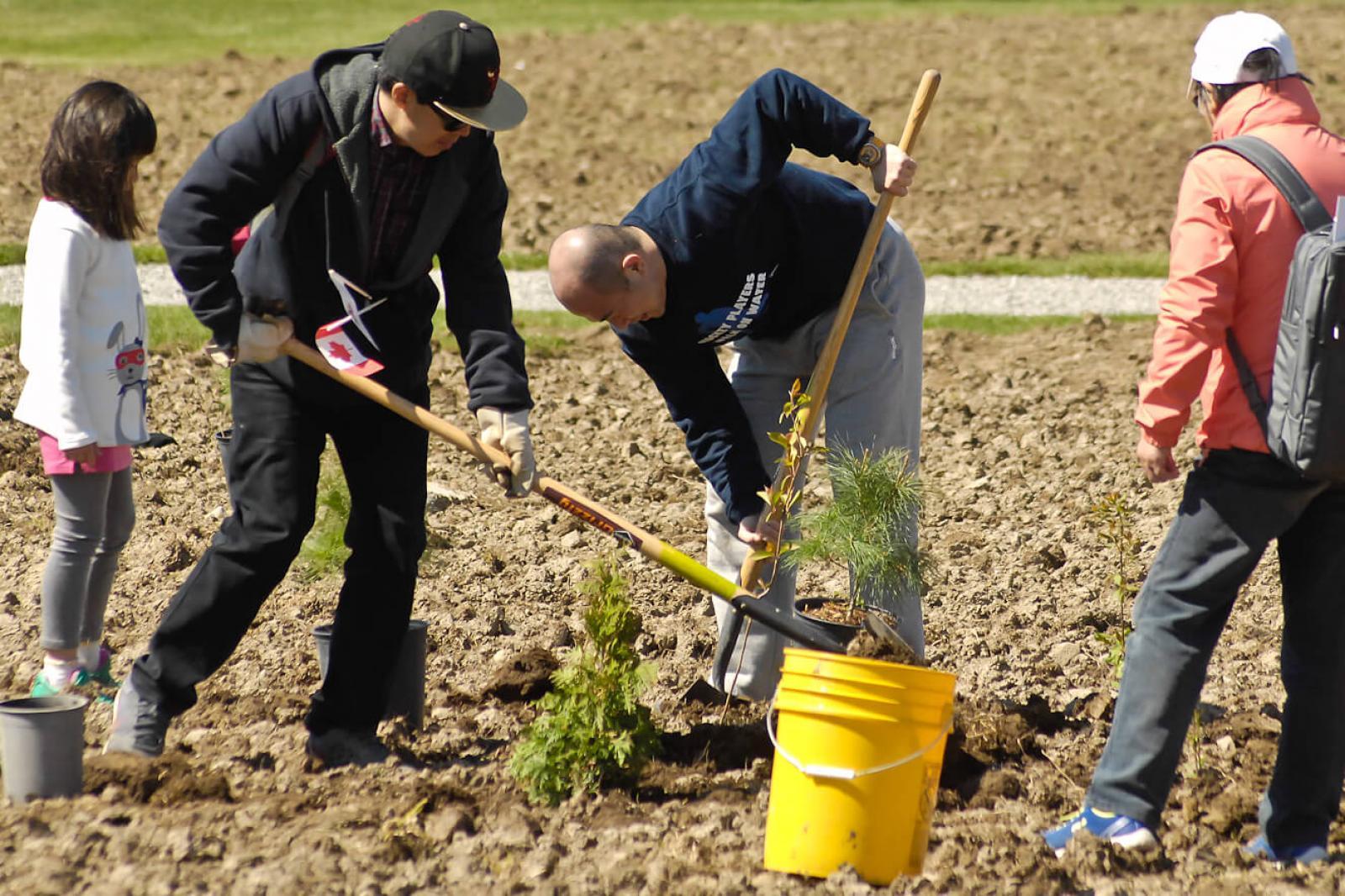 Vineland soil remediation workshop and tree planting