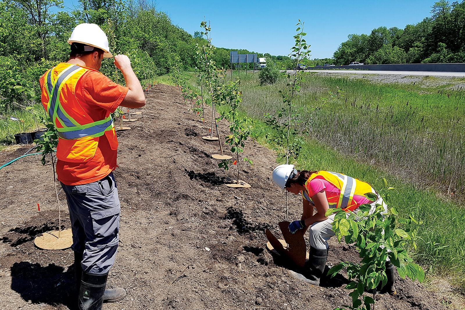 Planting trees along the Highway of Heroes will help to raise awareness of the expertise and passion of Landscape Ontario members.