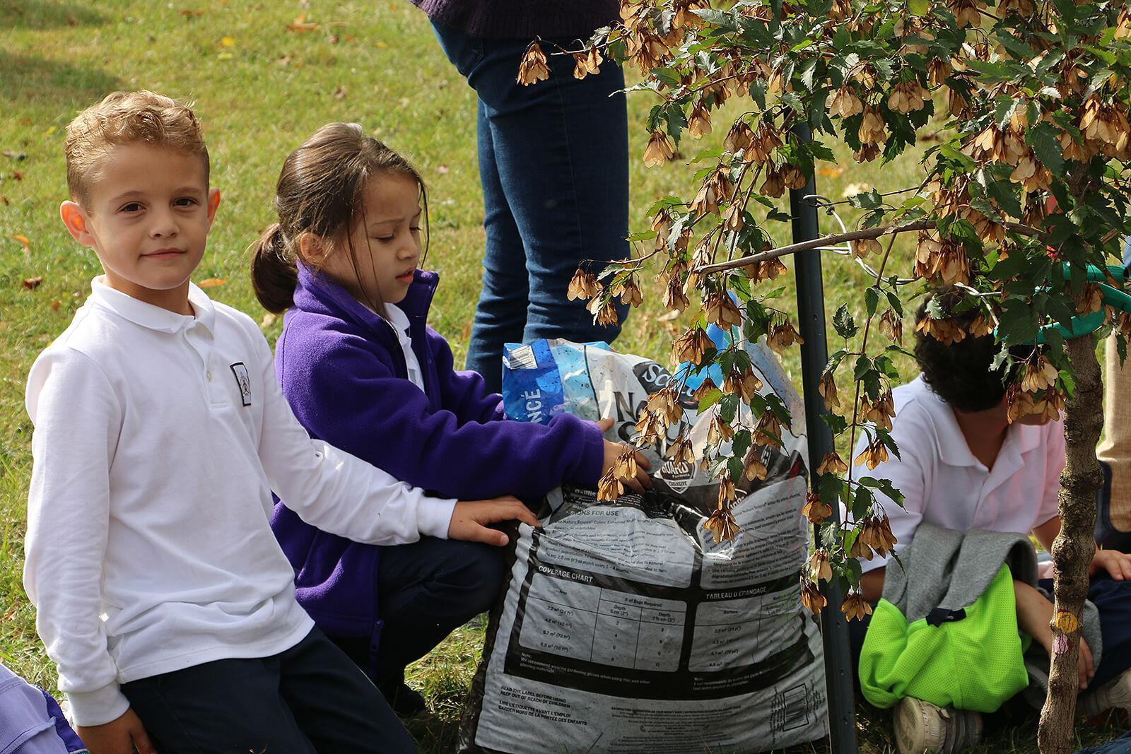 Tree donation inspires student learning