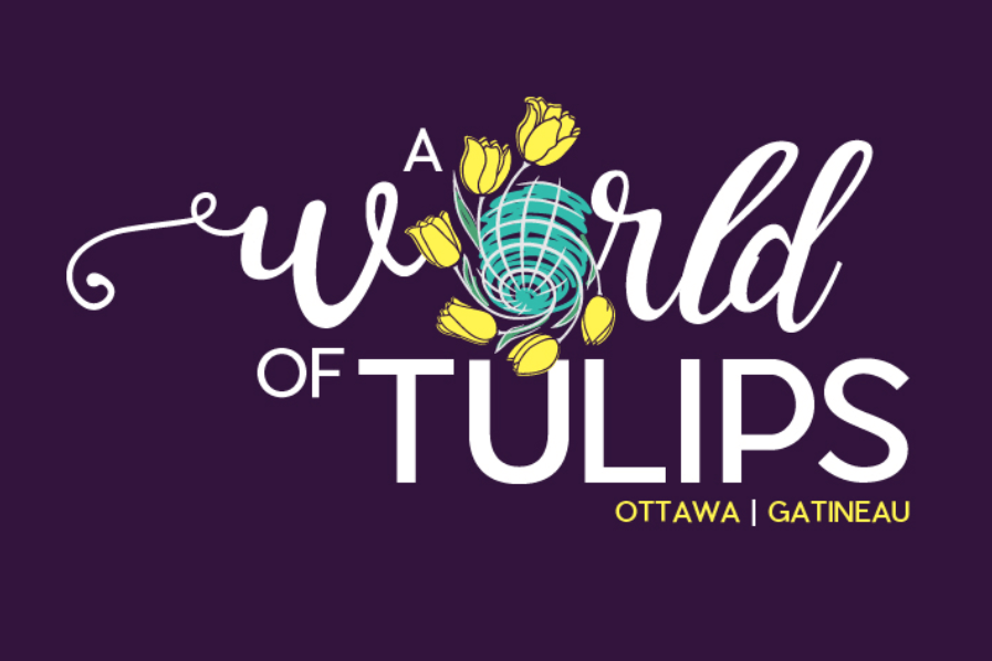 Tulip Festival Welcomes Festivals From Around The World