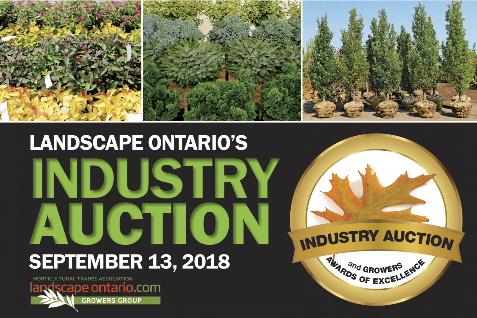 Industry Auction 2018