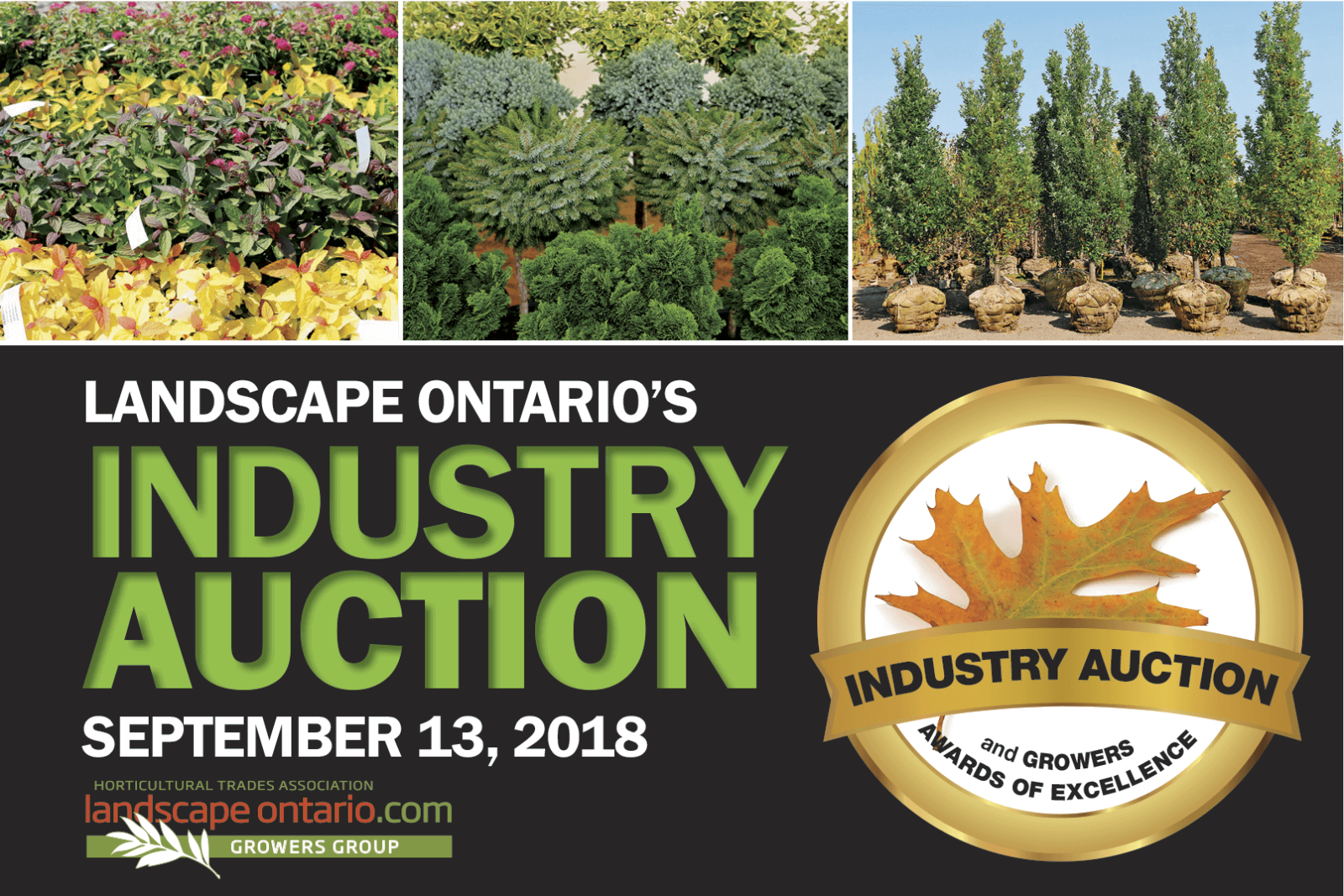 Industry Auction 2018