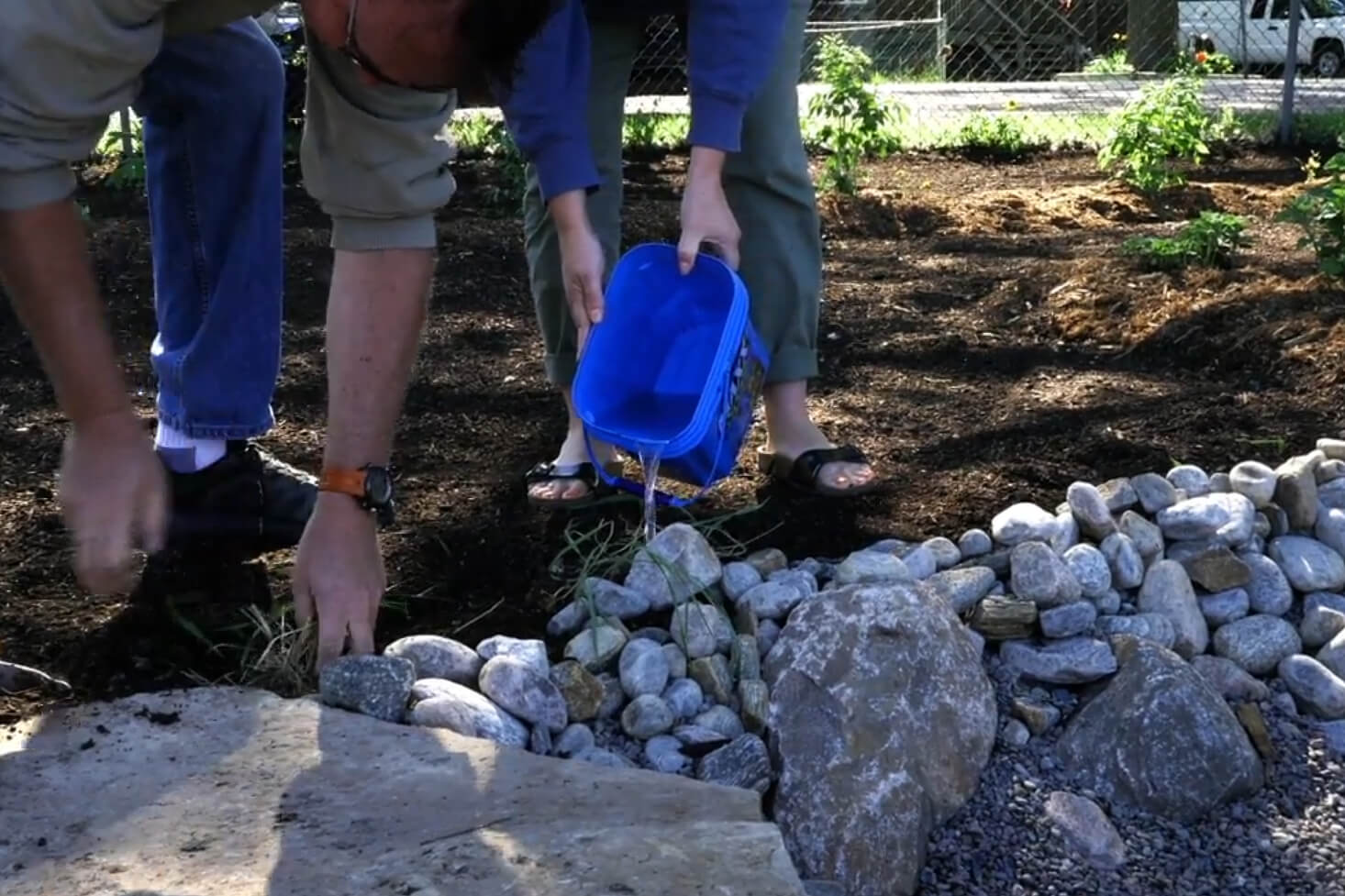 How to Build a Rain Garden