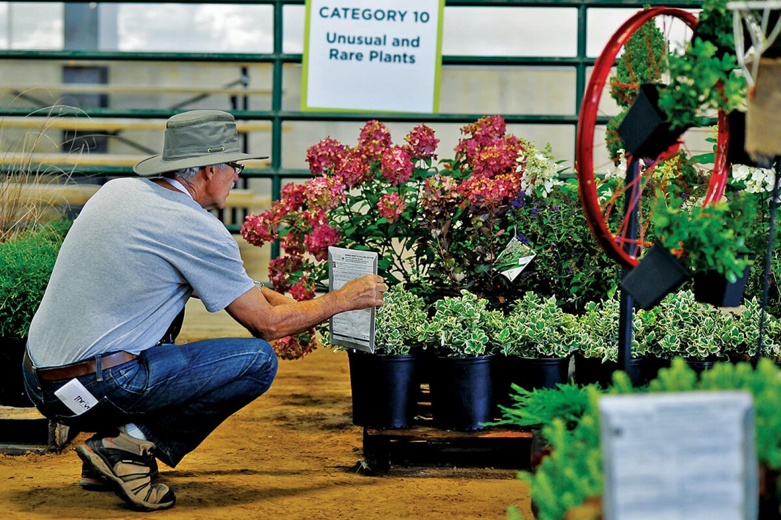 Various lots of plant material go up for bid at the annual industry auction.