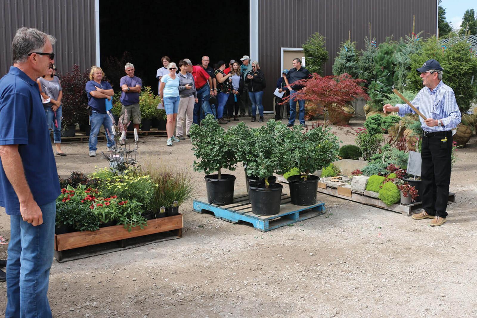 Over 250 skids of plant material were auctioned off at the 2018 growers Industry Auction.