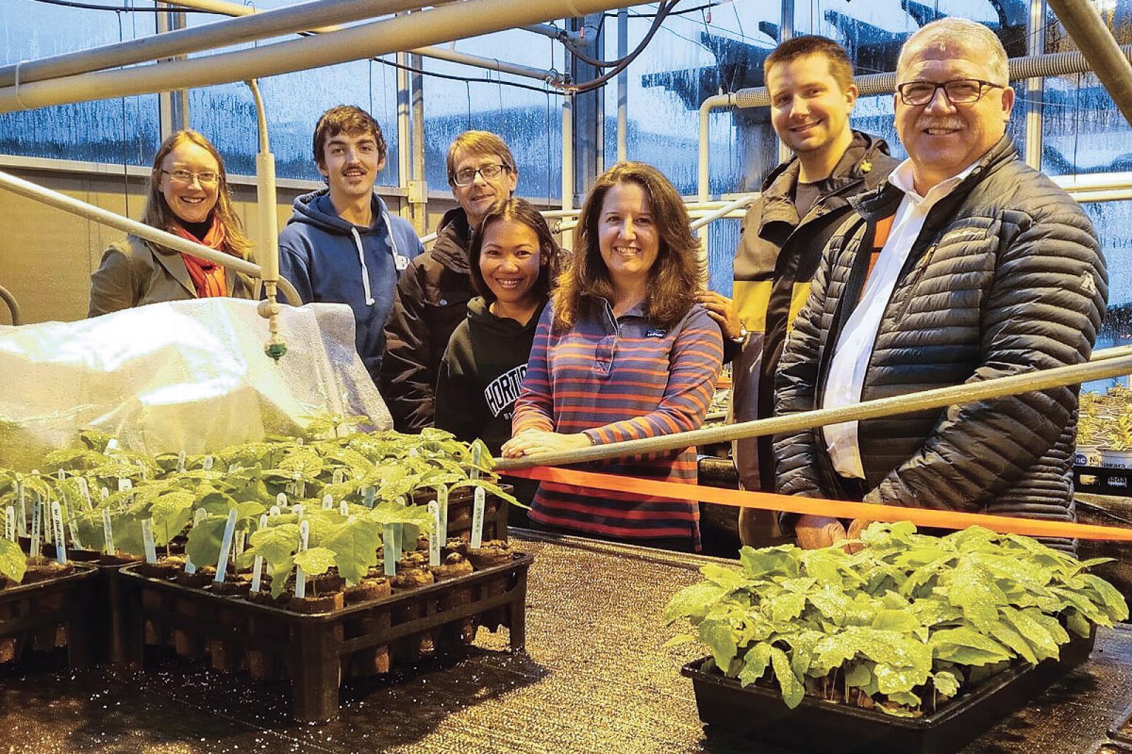 Niagara College students are helping to determine optimal propagation method for oak seedlings.