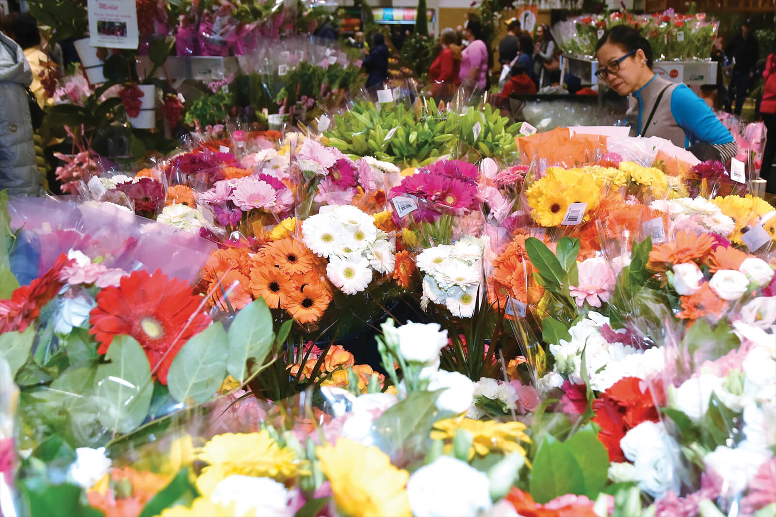 Canada Blooms showcases gardening, landscaping and floral design.