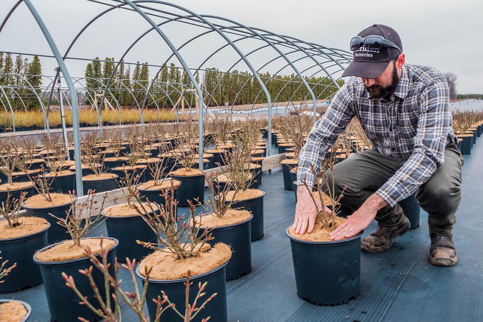 Sheridan Nurseries named one of Canada’s Greenest Employers for 2019