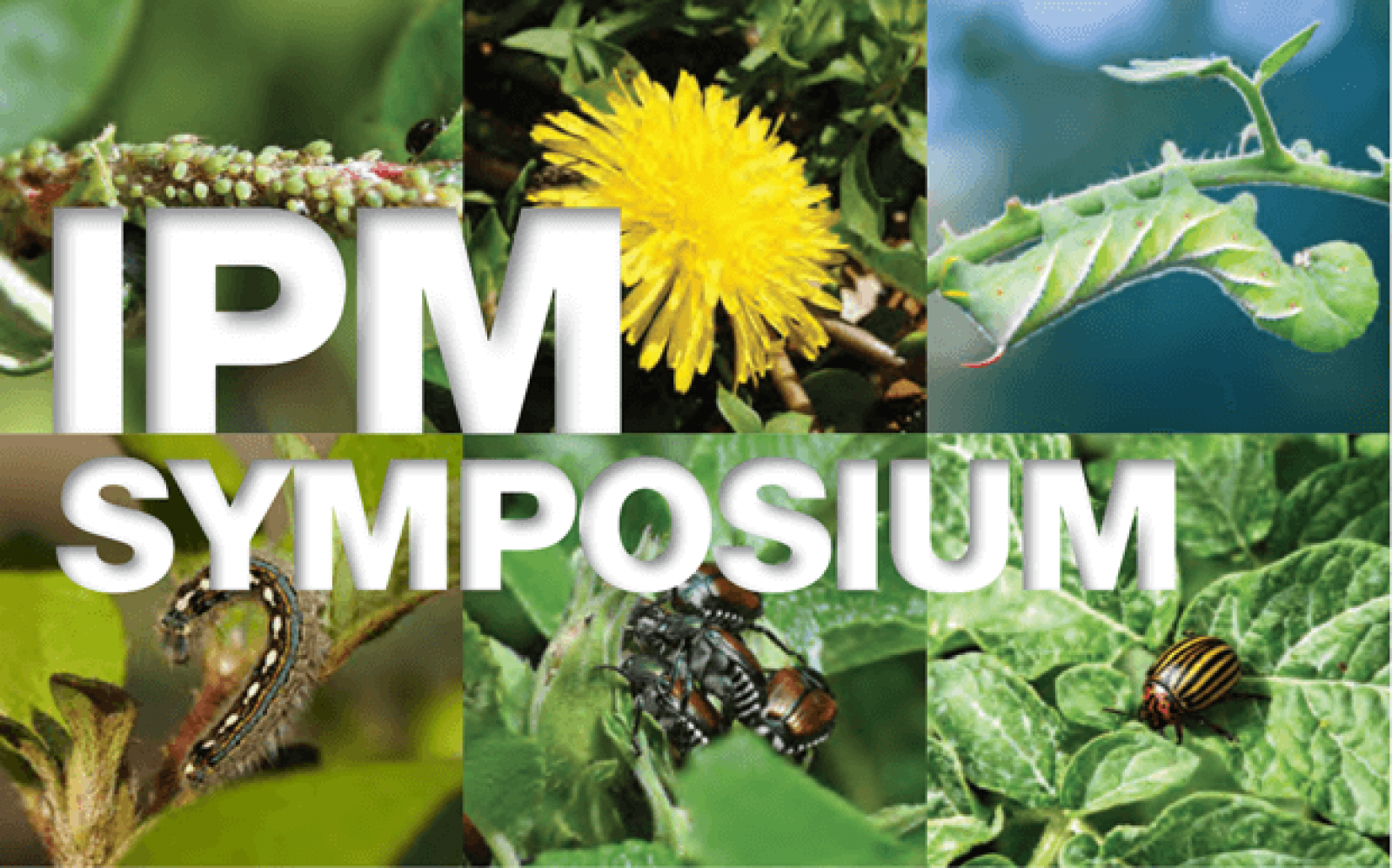 IPM Symposium 2021