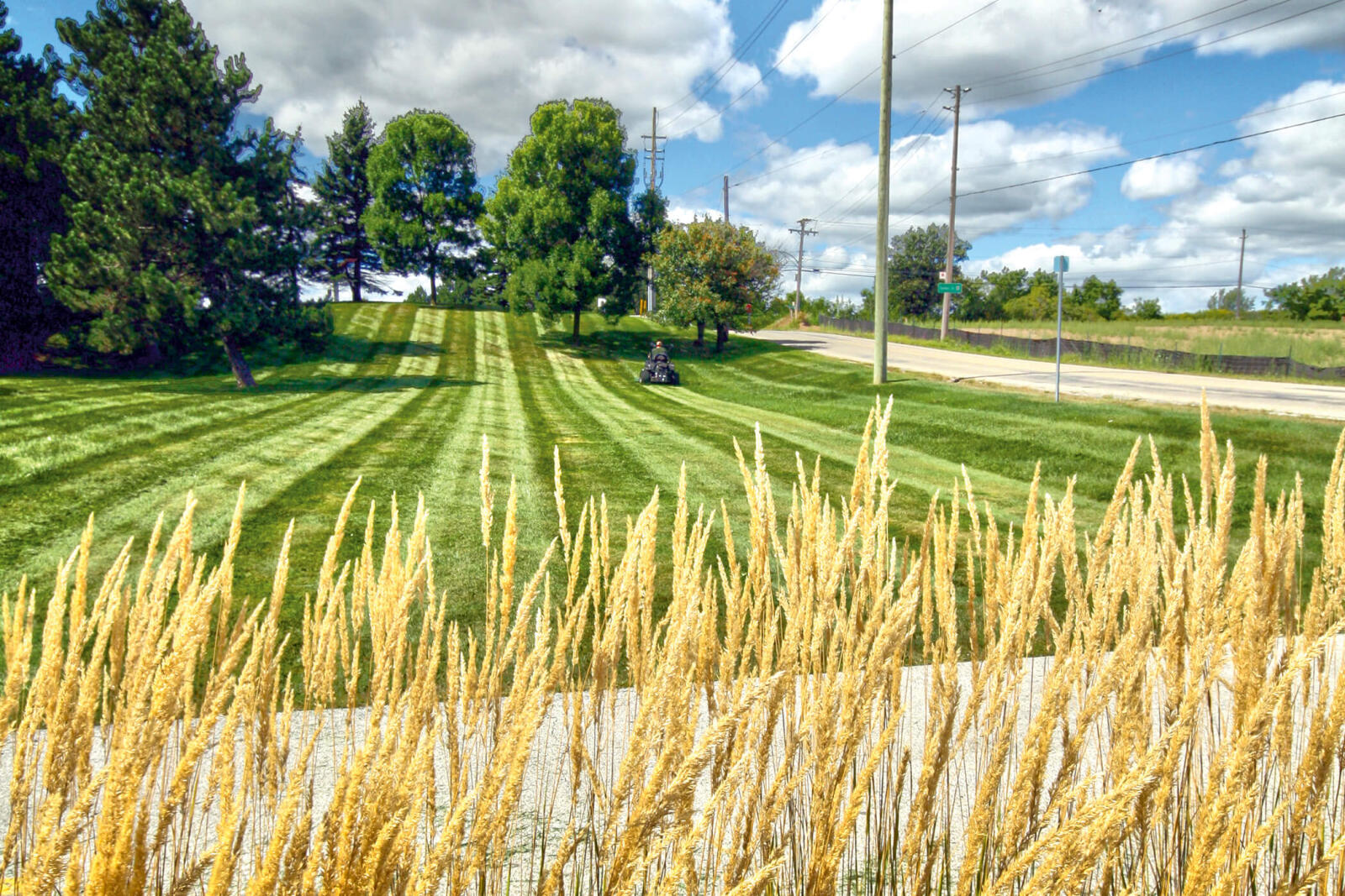 Since the controversial cosmetic pesticide ban came into effect in 2009, members of the lawn care industry in Ontario have had to deal with increasing numbers of homeowners and competitors who skirt the law.