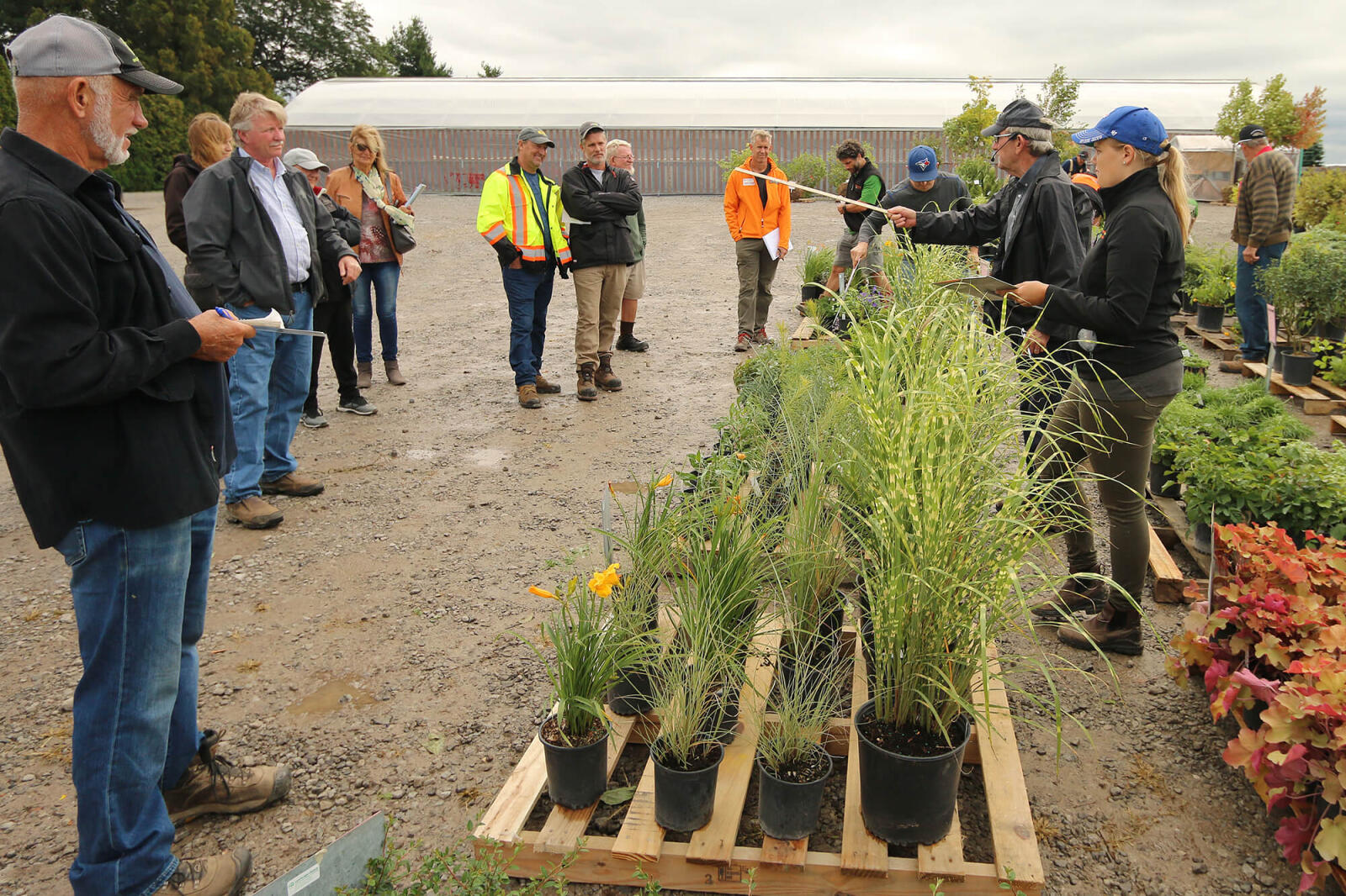 Skids of donated plant material are sold to the highest bidder at the Industry Auction.