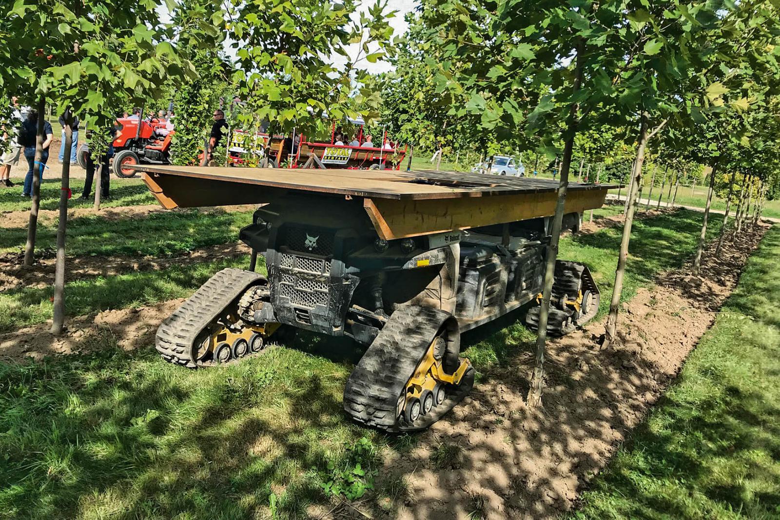 A mobile tree pruning platform is used at Stam Nurseries.