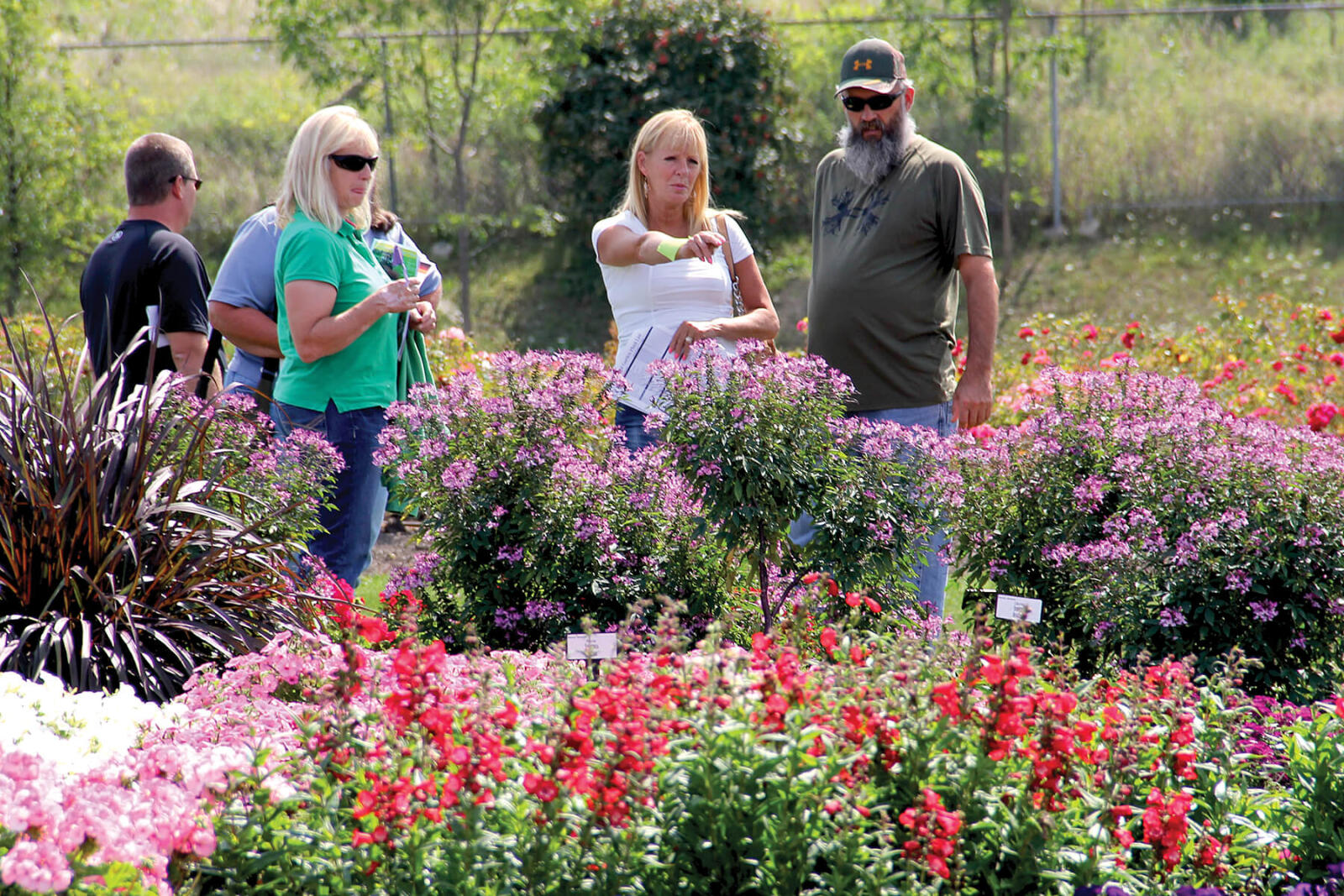 Those attending the annual trial gardens open house had lots to see, from new annual introductions to perennial beds and roses.