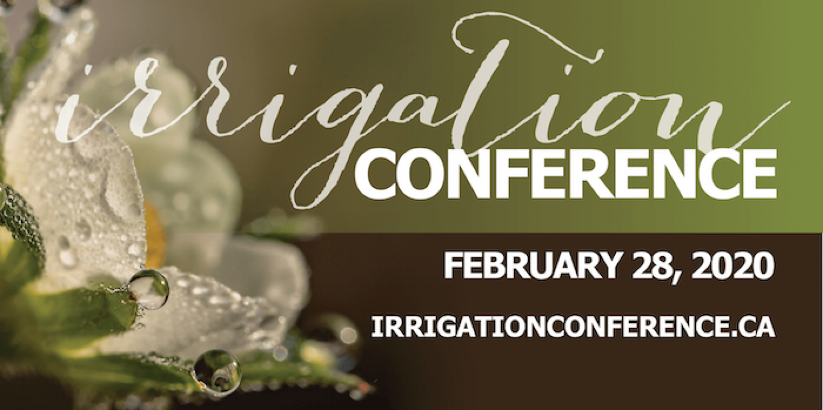 Irrigation Conference 2020