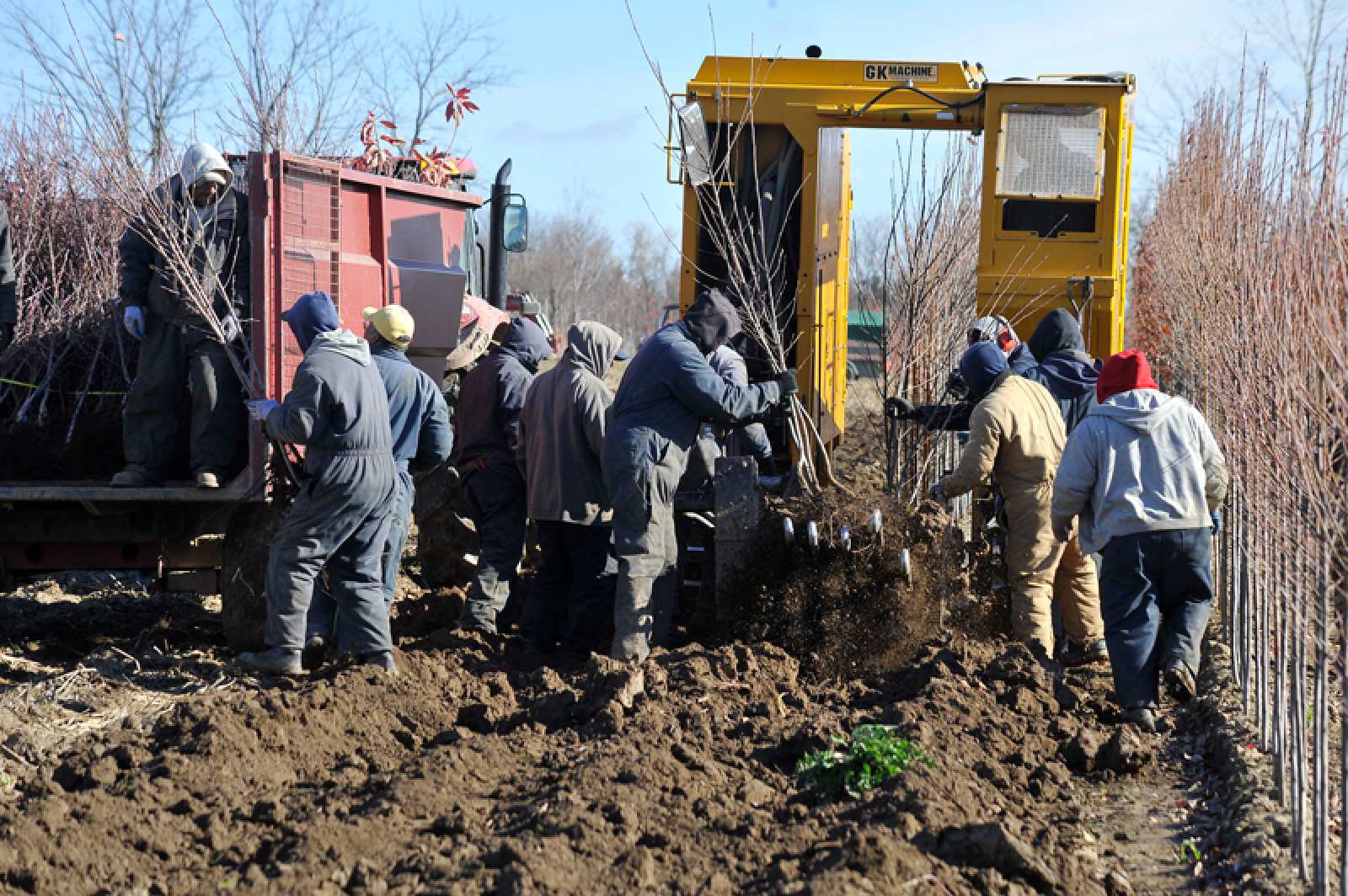 Improving Your Field Labour Ratio, How Much Do Landscapers Make Per Hour Ontario