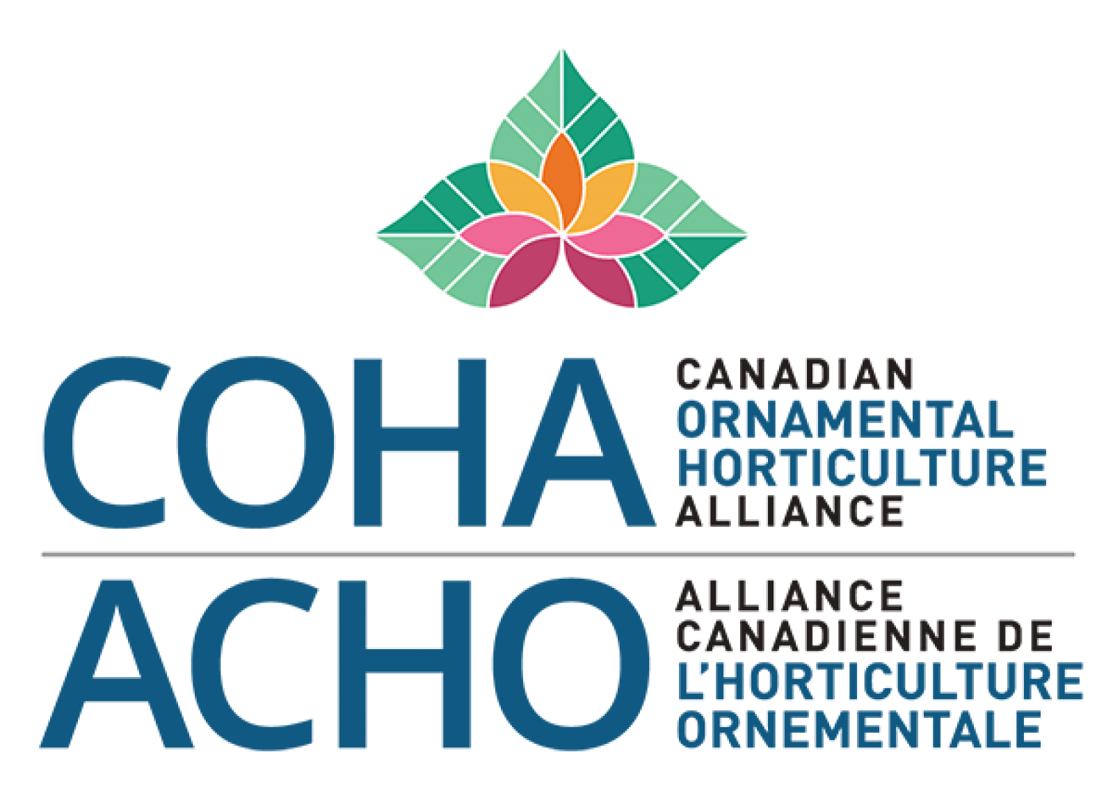 COHA-ACHO Research Update Webinar 2020
