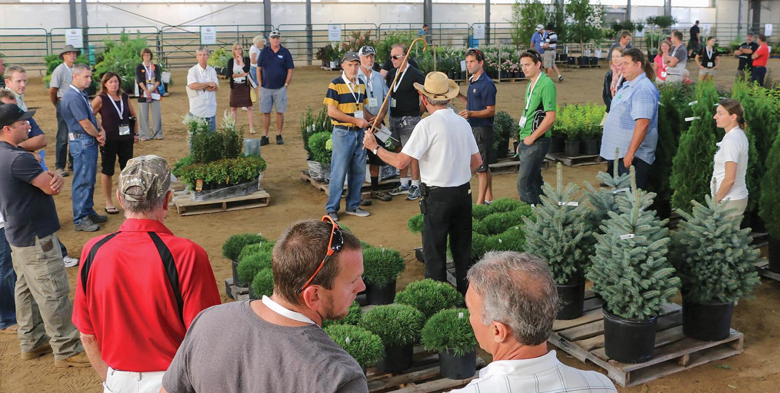 This year’s Industry Auction, held as part of Thrive, offered great plant material at low prices.