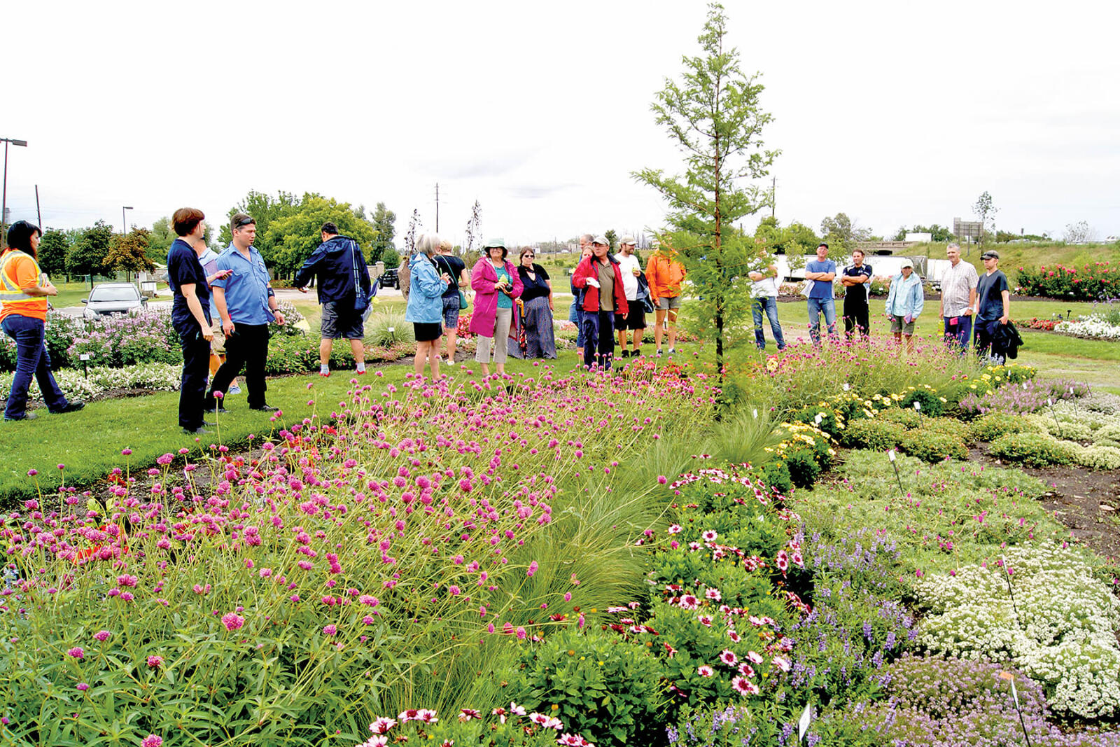 The highlight of this year’s Trial Garden Open House was a tour of the beautiful setting led by garden manager Rodger Tschanz.