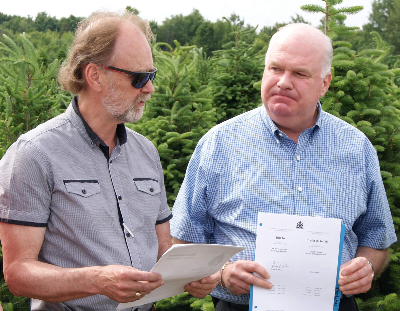 LO member achieves Christmas Tree Day in Ontario