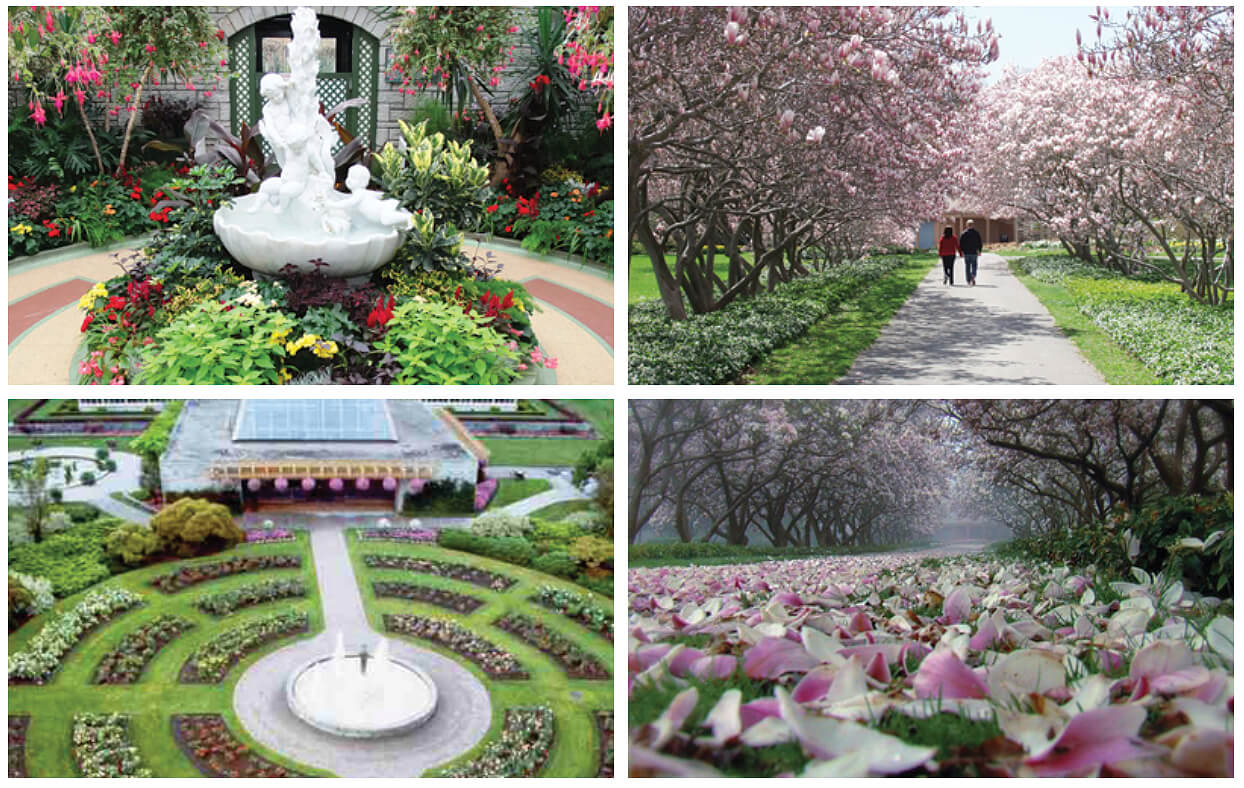 The beauty of Niagara’s parks is why it has become one of Canada’s foremost tourism destinations for garden lovers.