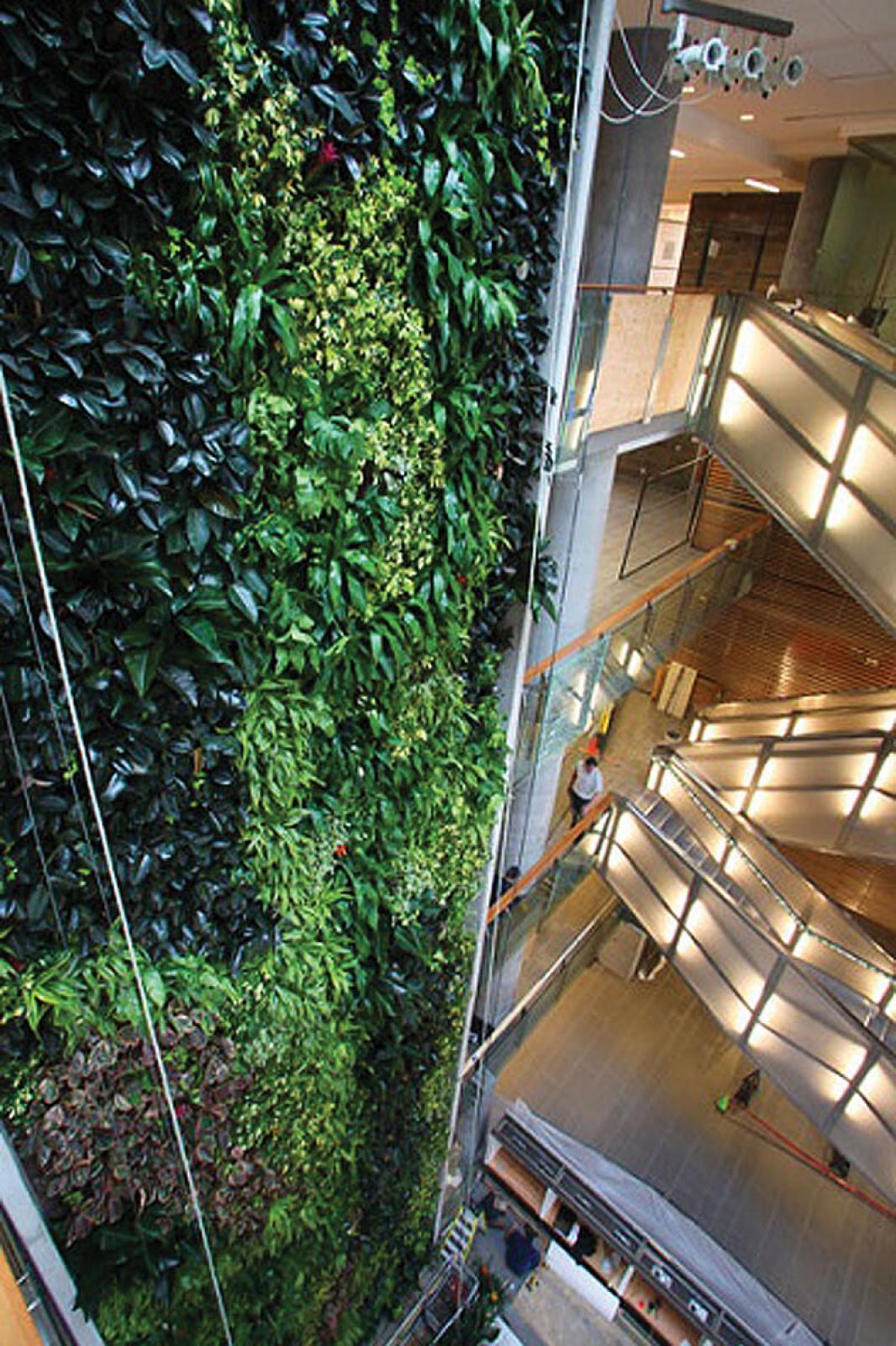 Spectacular describes the living wall on the 15-storey Social Sciences building on the University of Ottawa campus.