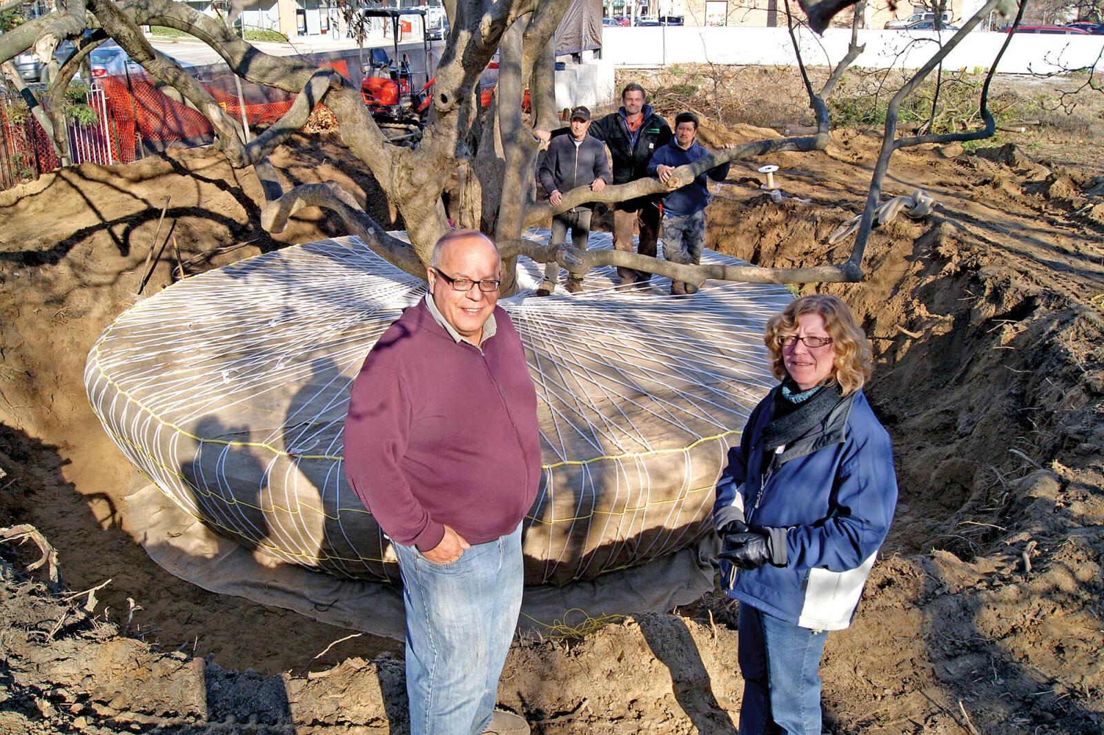 Paul Offierski and Leslie Goettsch of PAO Horticultural stand in front of the century-old magnolia that has been wrapped by the PAO crew, Sergo Anniano, Clint Cripps and John McNeil.