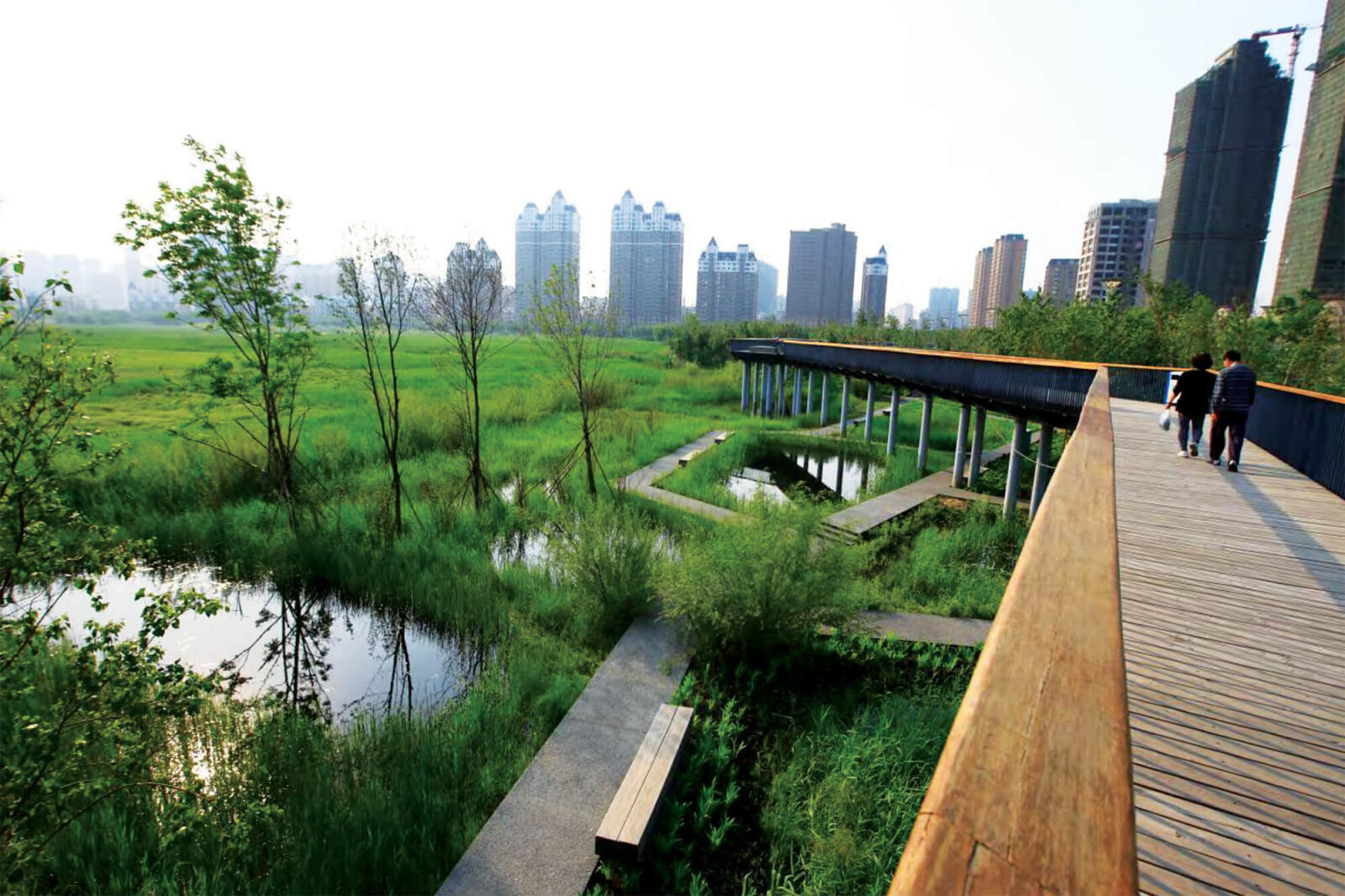 Designed ecologies by Dr. Yu are wild and beautiful. Skywalks allow pedestrians to access the landscape.