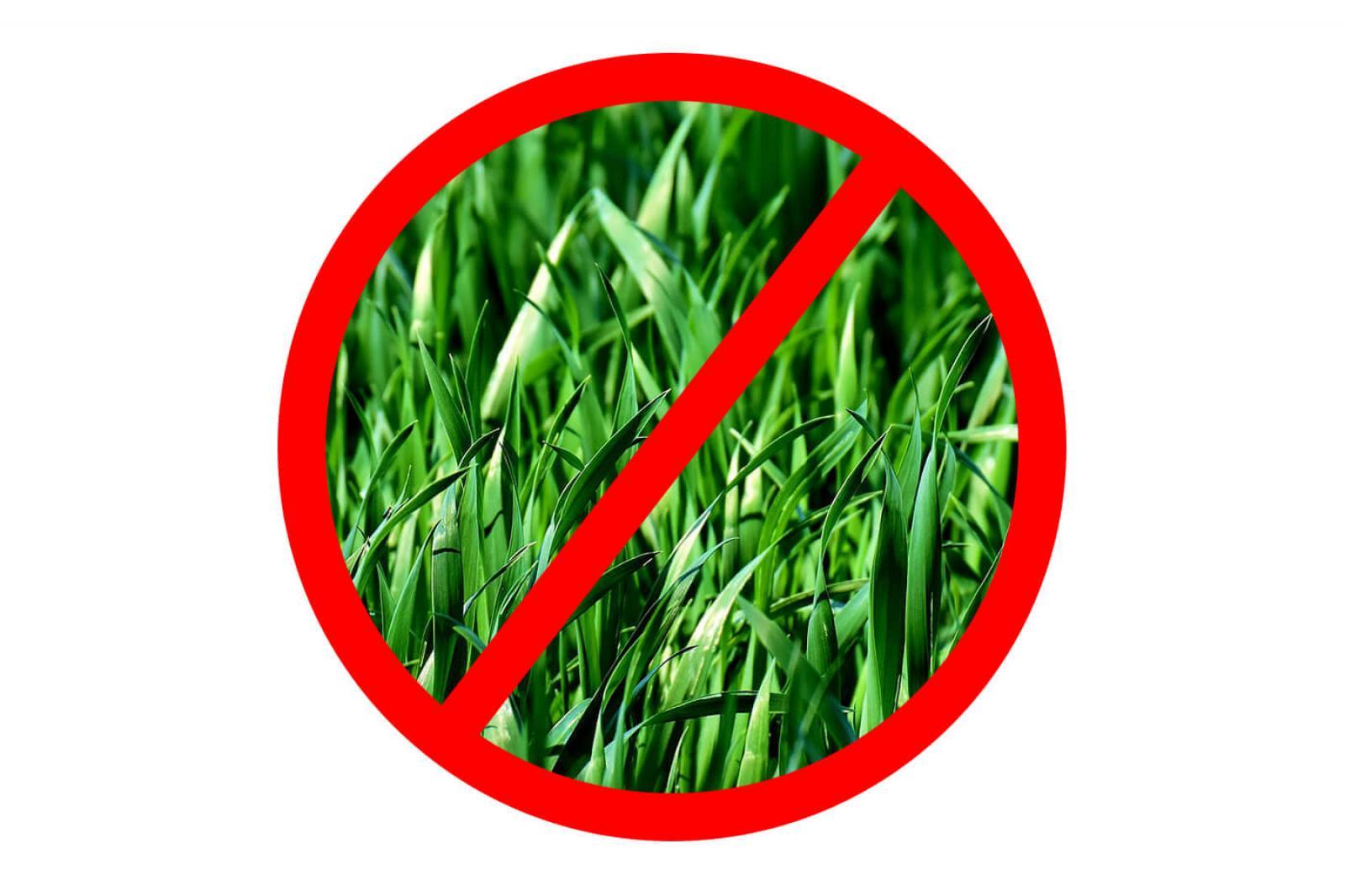 Region of Peel no longer accepts grass clippings