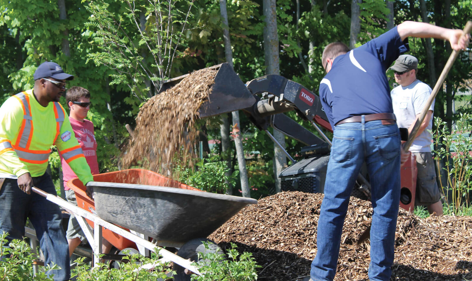 Blitz team installs new plantings around the Bethell gazebo, to enhance an area planned to house memorial plaques. Volunteers from varied backgrounds worked efficiently with both specialized equipment and hand tools.