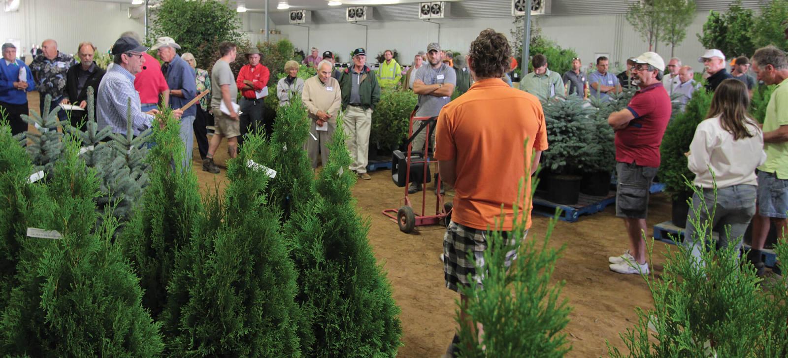 This year’s Industry Auction saw a good turnout at Winkelmolen Nursery in Lynden.