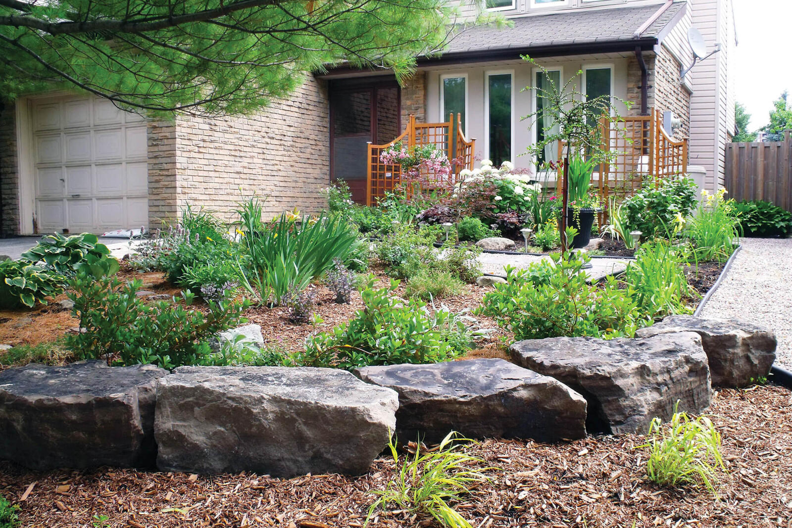 Curb appeal hot sale landscaping