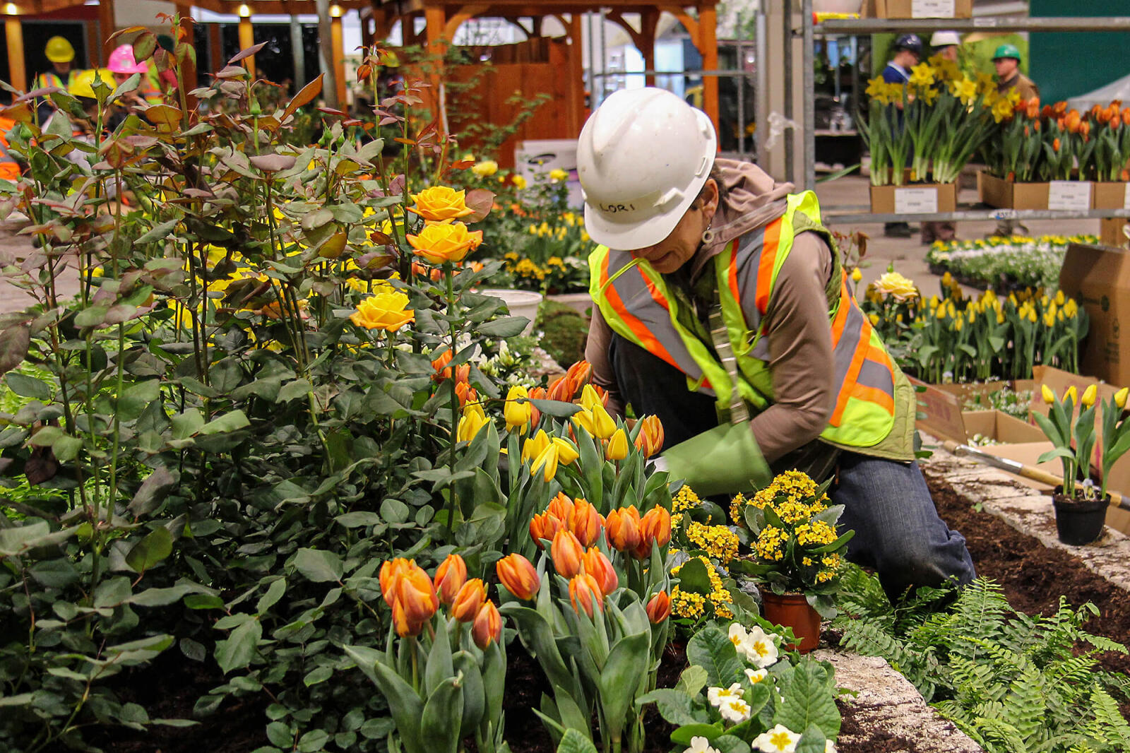 Our Canada Blooms garden team: Opportunity of a lifetime