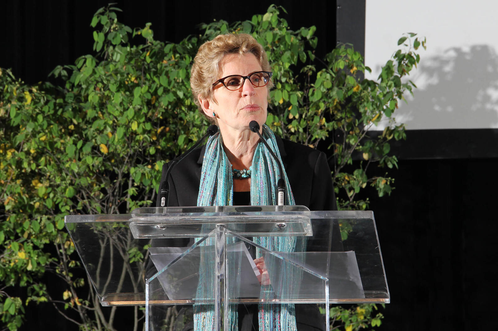 Premier Wynne visited Canada Blooms where she had a tour of the LO garden and handed out awards at Industry Night.