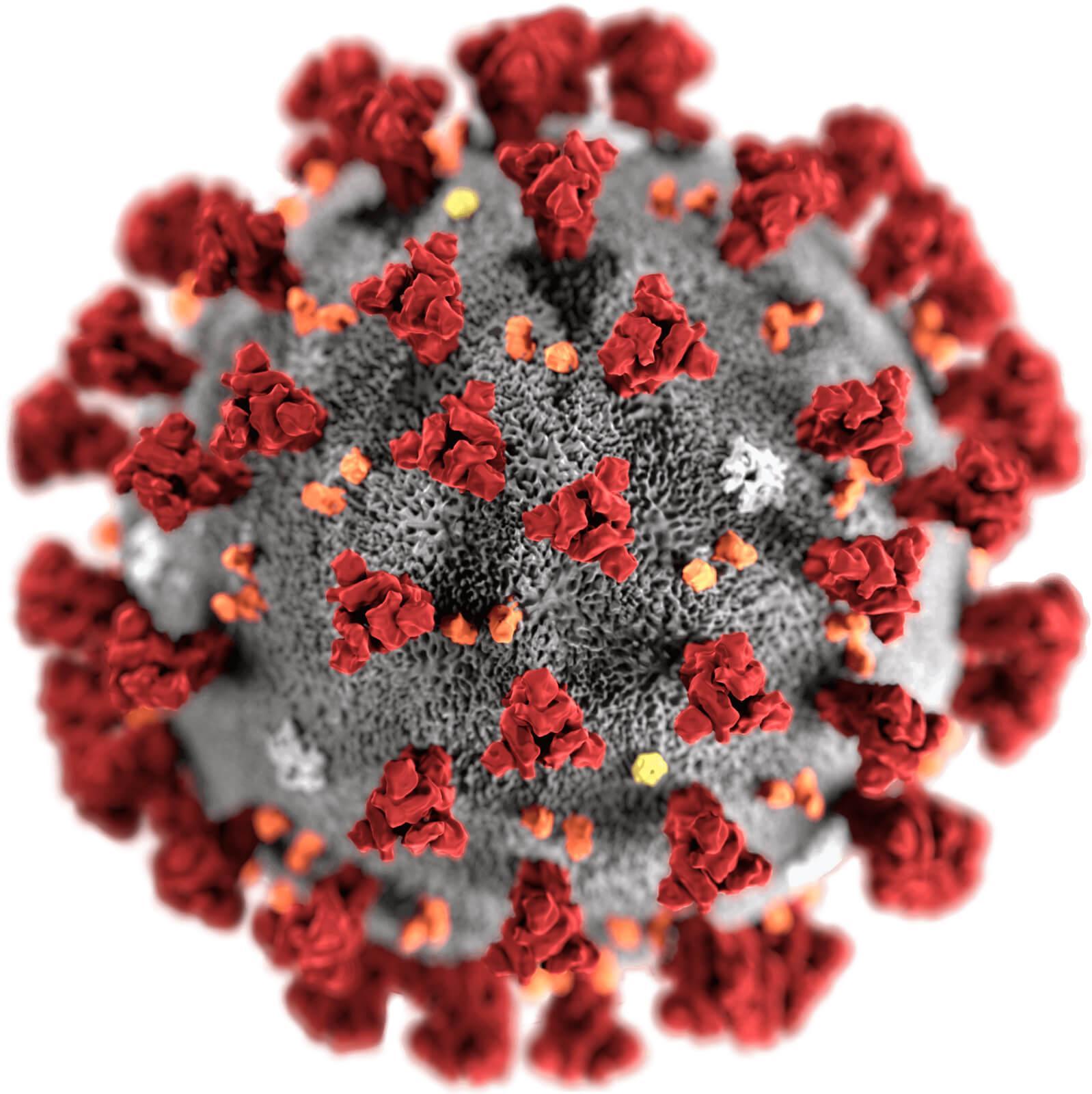 Nova coronavirus (COVID-19)