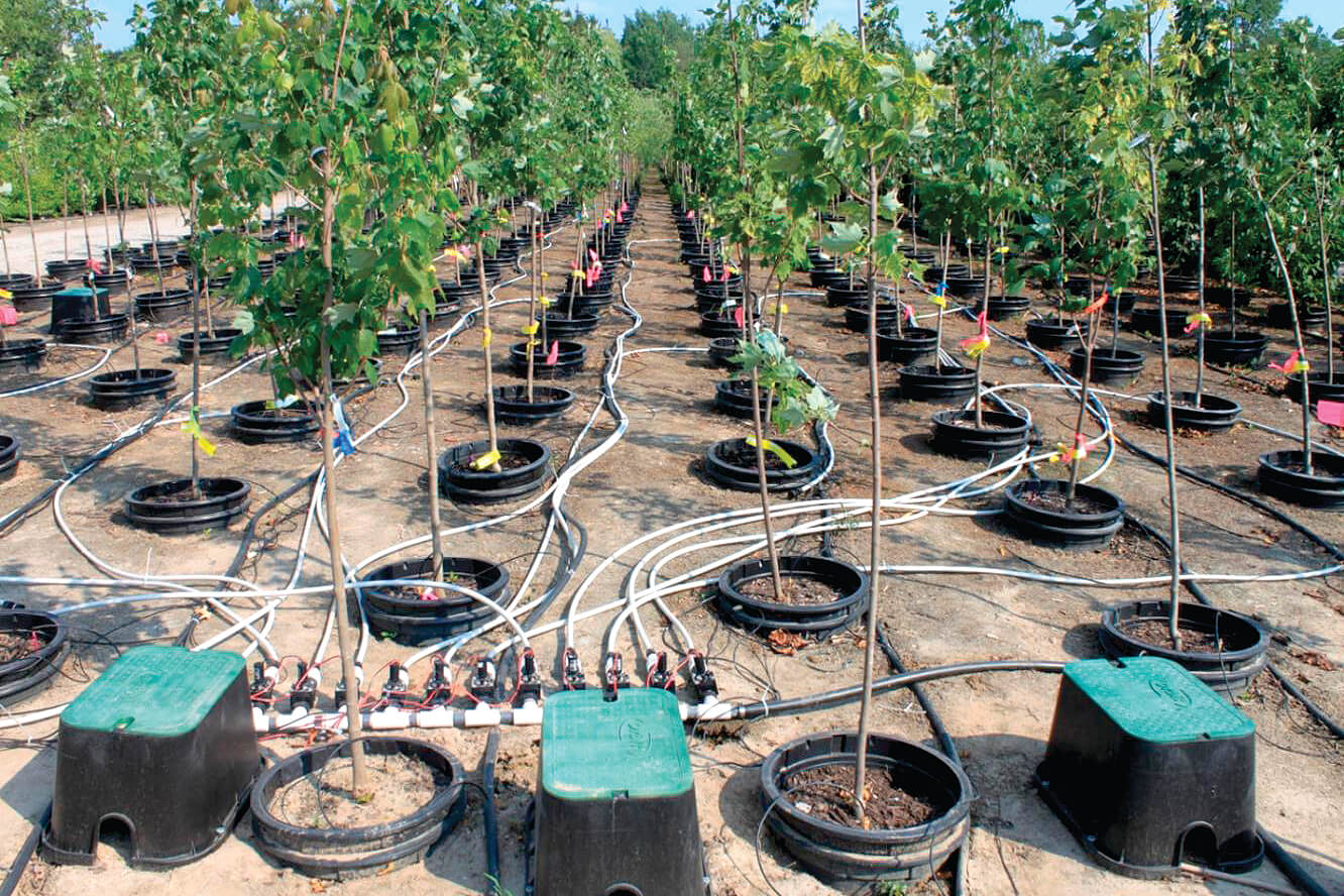 Experimental layout at Connon Nurseries/CBV. Soil moisture sensors are inserted to the centre of the potting substrate. A computer was located in an office, 1 km from this site for recording and displaying growing substrate moisture levels in the pot, and for wireless control of irrigation.