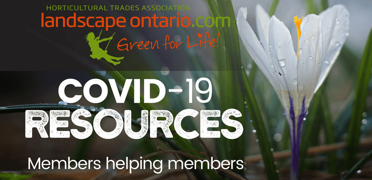 COVID-19 Resources