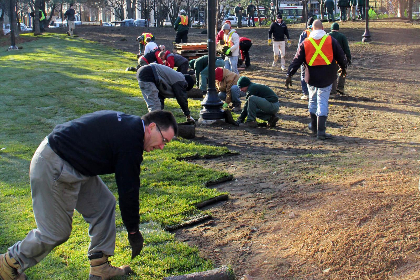 LO members restore green  to Toronto’s St. James Park