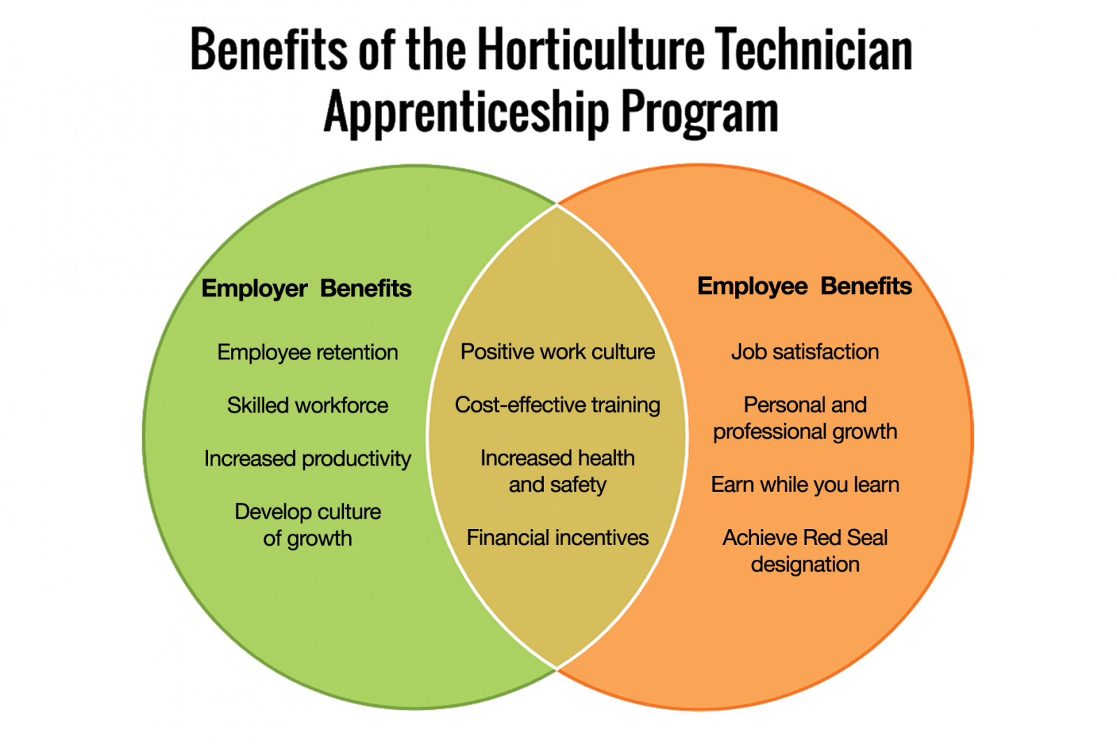 Inspire and invest in your employees through Apprenticeship