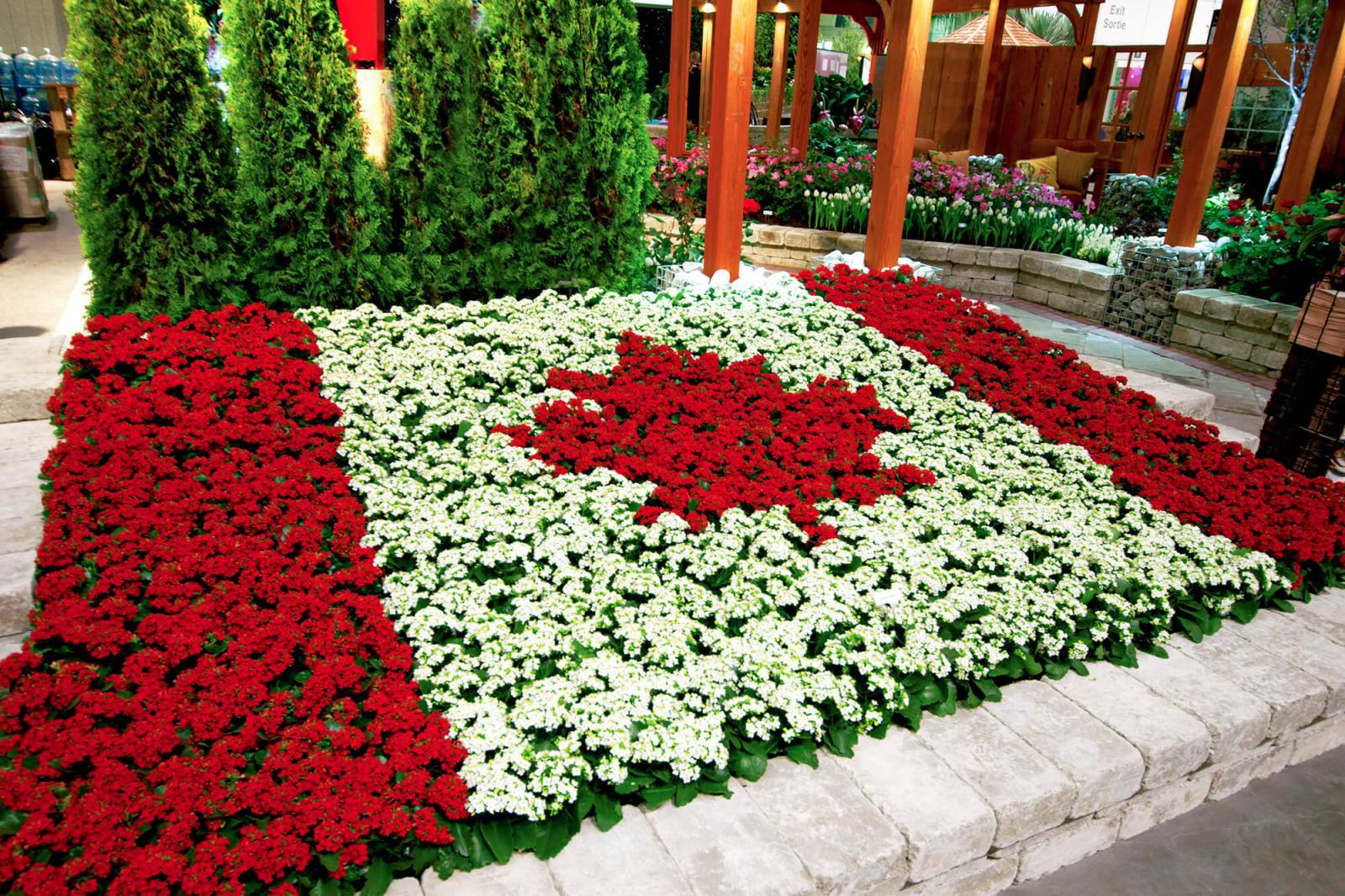 The Canadian flag created from kalanchoe grabbed a great deal of attention at LO’s feature garden at Canada Blooms.