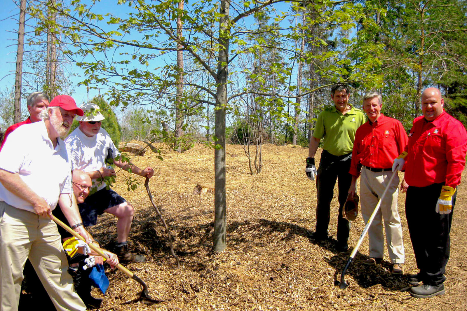 A ceremonial planting of trees has politicians and volunteers replace trees lost in the Goderich tornado last year.