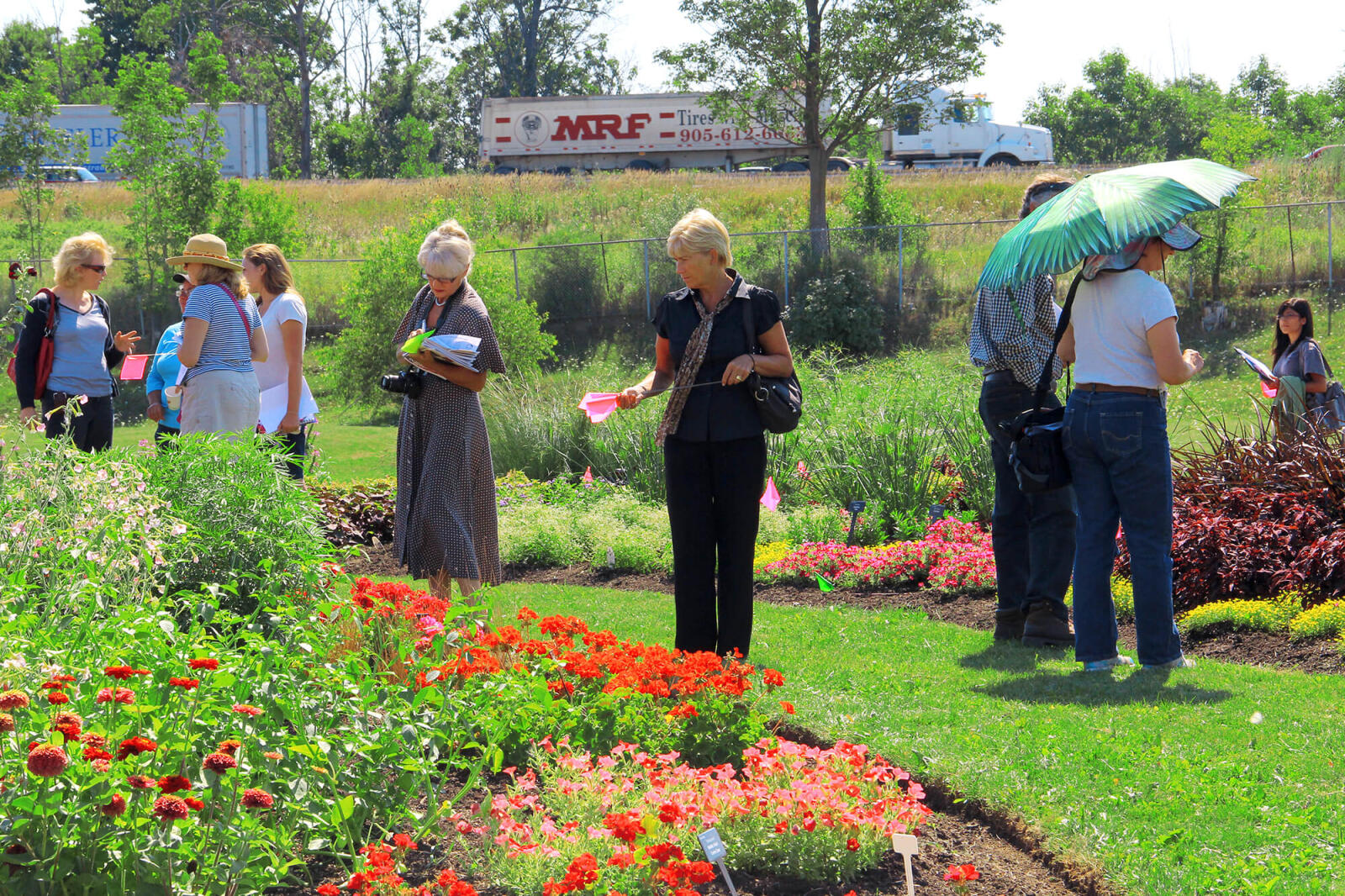 The annual trial gardens provide a great opportunity for designers, garden centre owners or landscape contractors to see what’s new and what does well in harsh conditions.