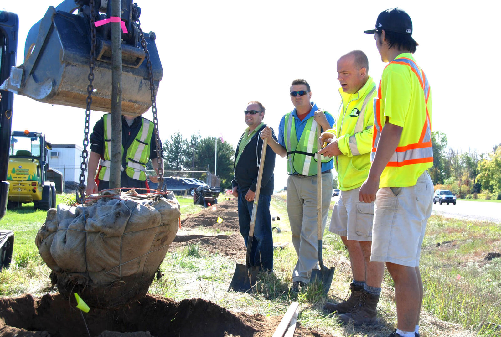 London members continue work on tree planting project