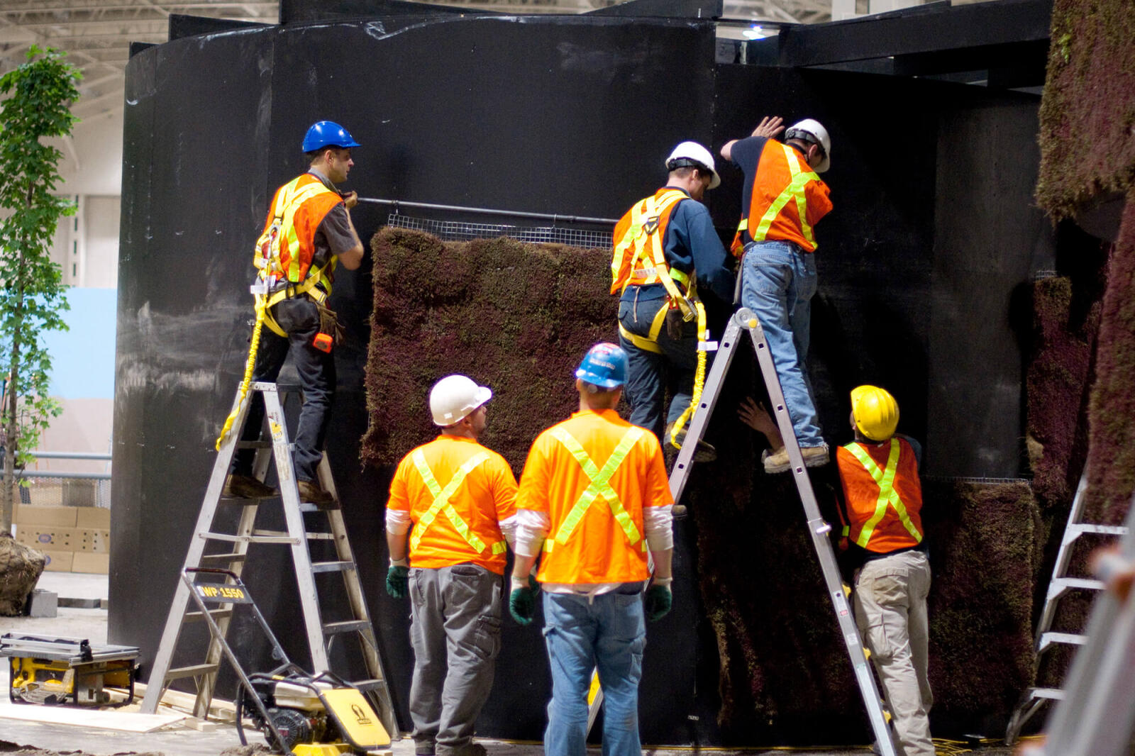 Canada Blooms raises industry’s image