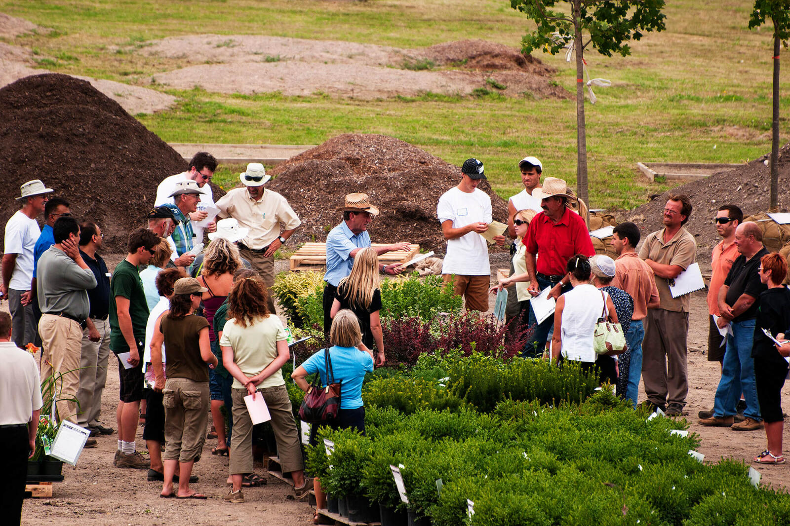 Wine country is site of this year’s auction