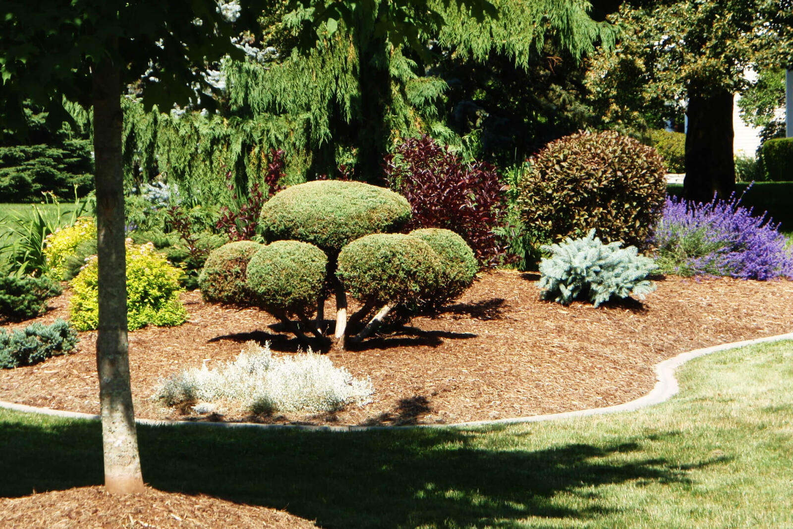 This garden created by Hunter Home and Garden was one of many to wow visitors on the Gardens of Distinction Tour.